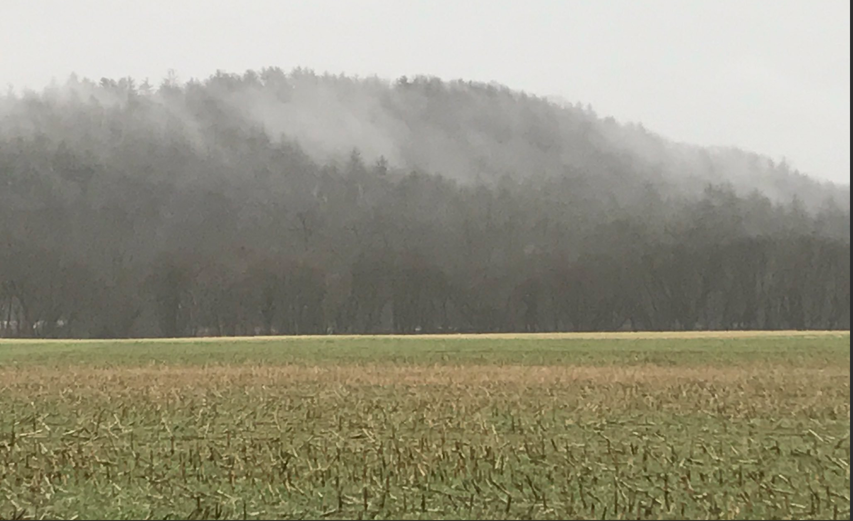 This photo, taken during a January thaw, shows our fields protected by cover crops, even beneath the snow during the depths of winter.