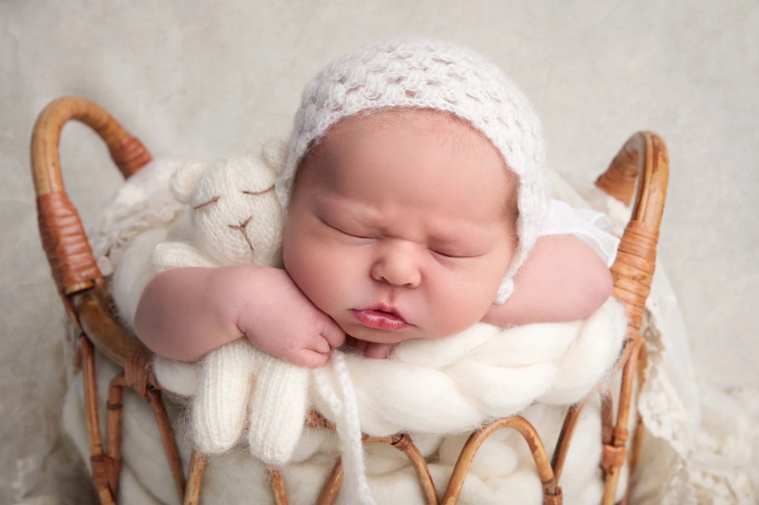 Baby in cream basket with teddy