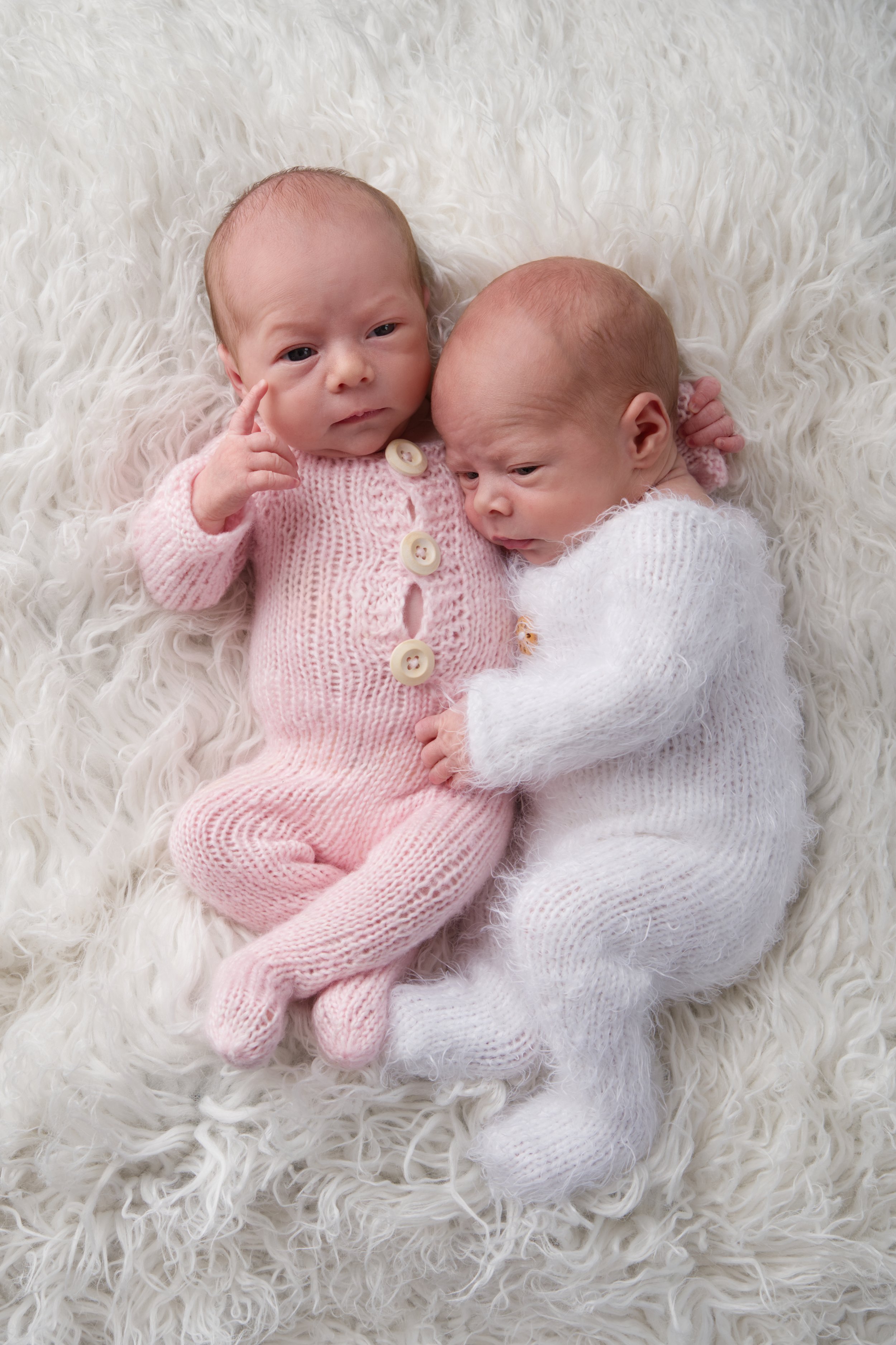 Twins on white fur