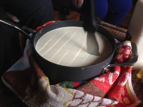 cutting the curds1.jpg