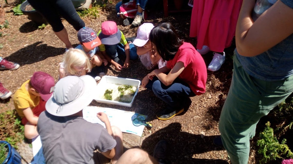 7---pond-dipping-2-with-froglife-jul-22_52623124687_o.jpg