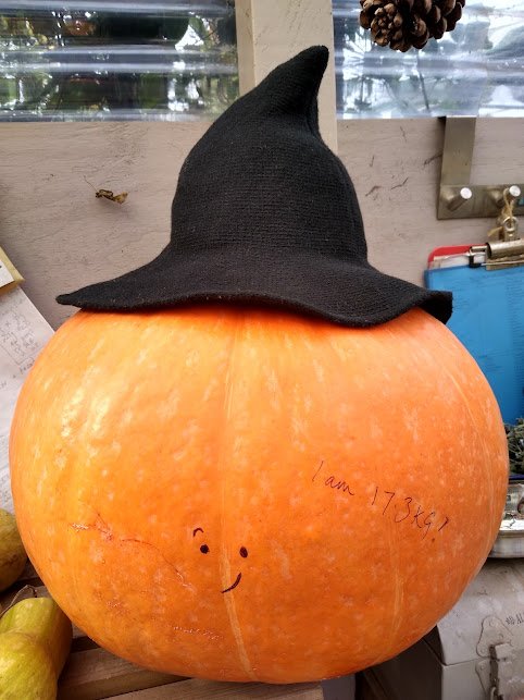 10---pumpkin-carving-day-oct-22_52623894264_o.jpg