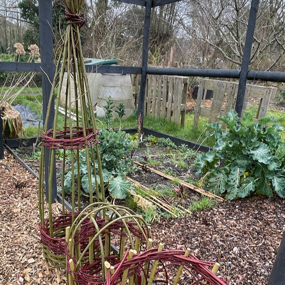 Make a woven plant support from locally harvested materials - 6th March 10-1pm