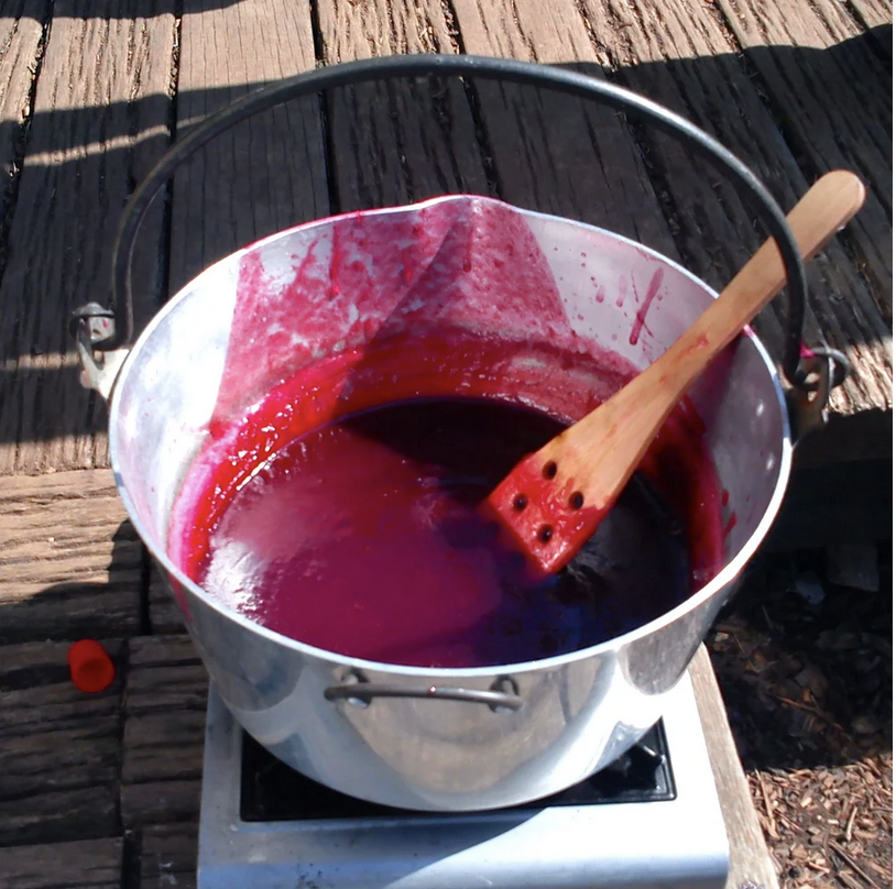 Fruit Cheese with Pick It Cook It