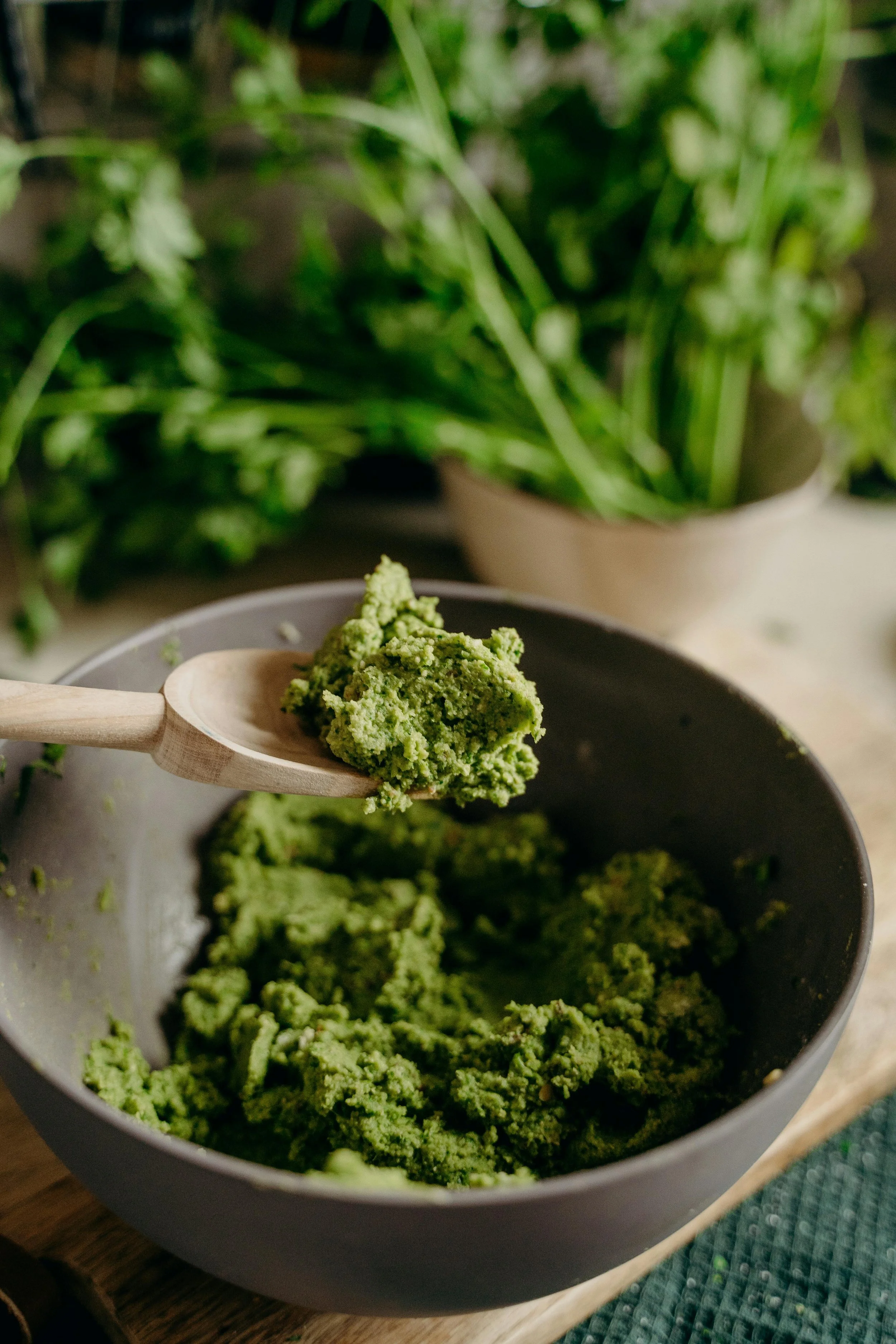 Wild Garlic Pesto