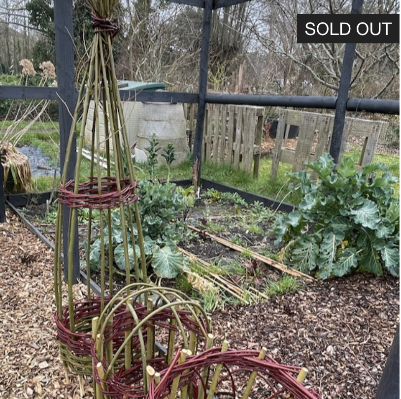 Woven plant supports with Emma Leach