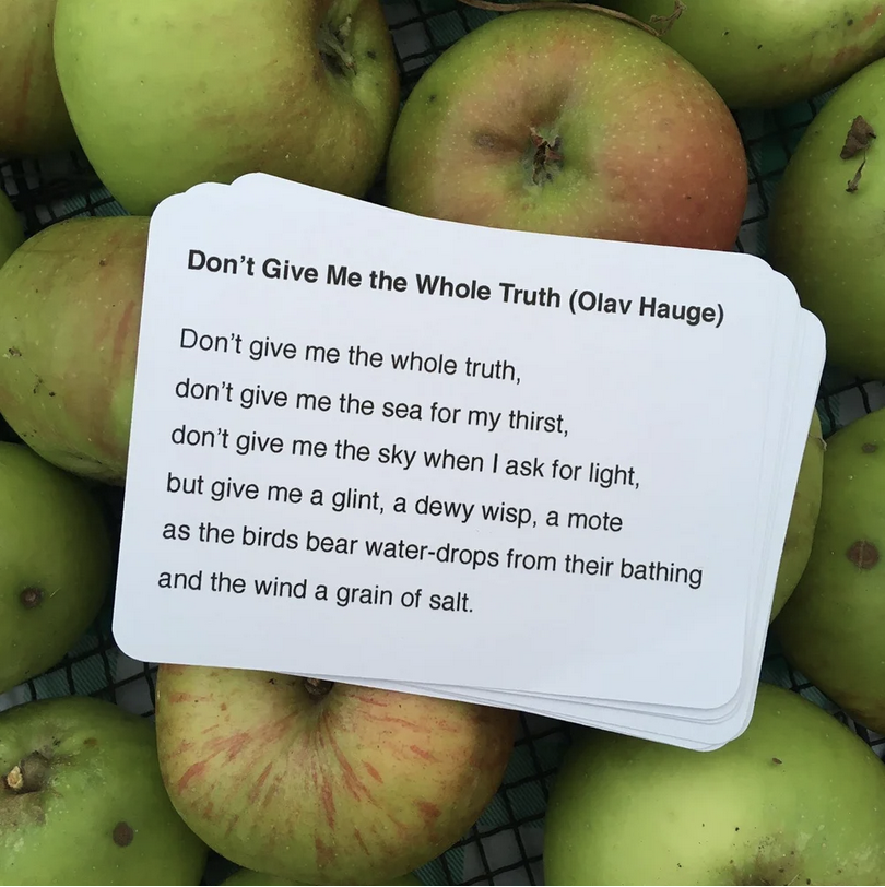 Truth in Nature with Storychaplain