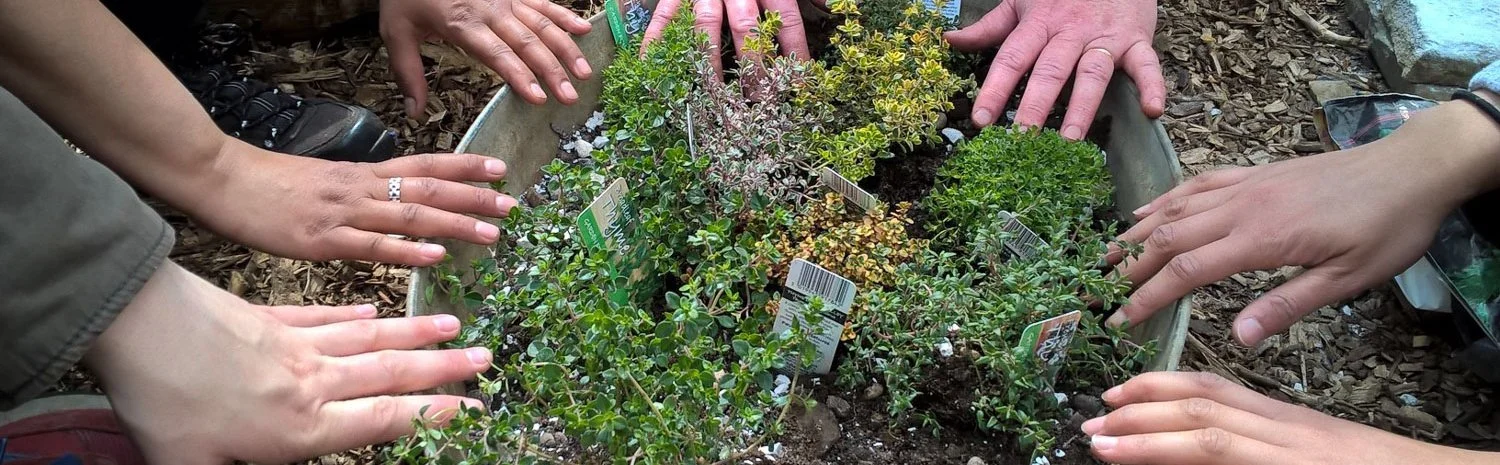 TaS Clean Banner.jpg