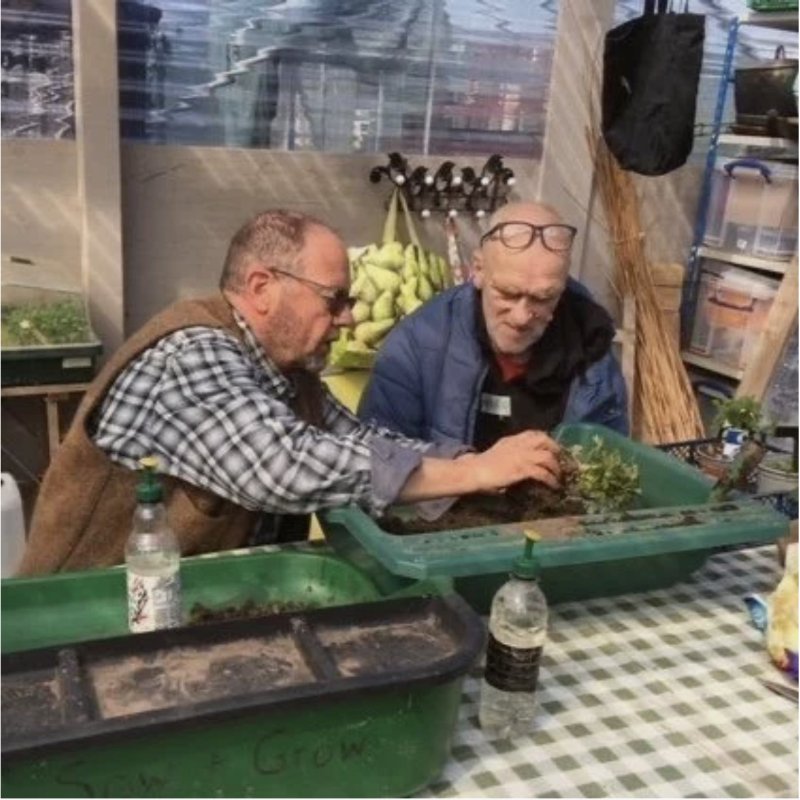 Garden Buddies.jpg