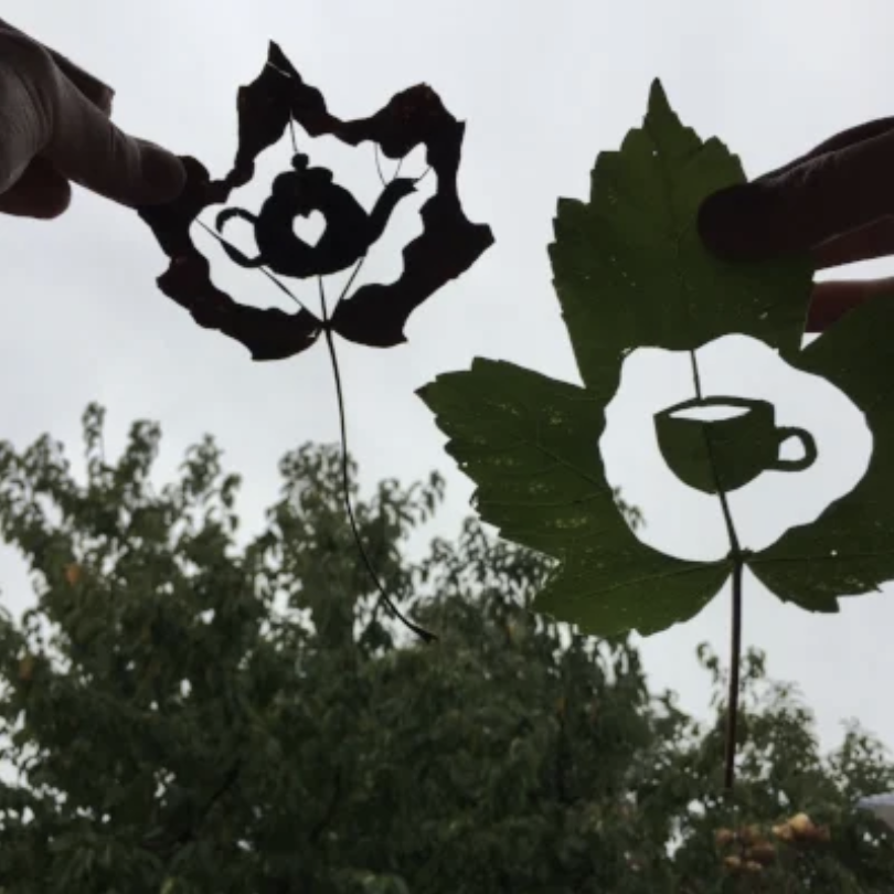 Papercutting with Porkchops