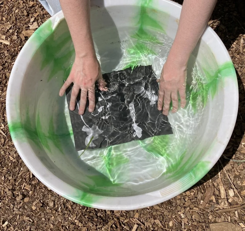 Photograms with Faye Heller