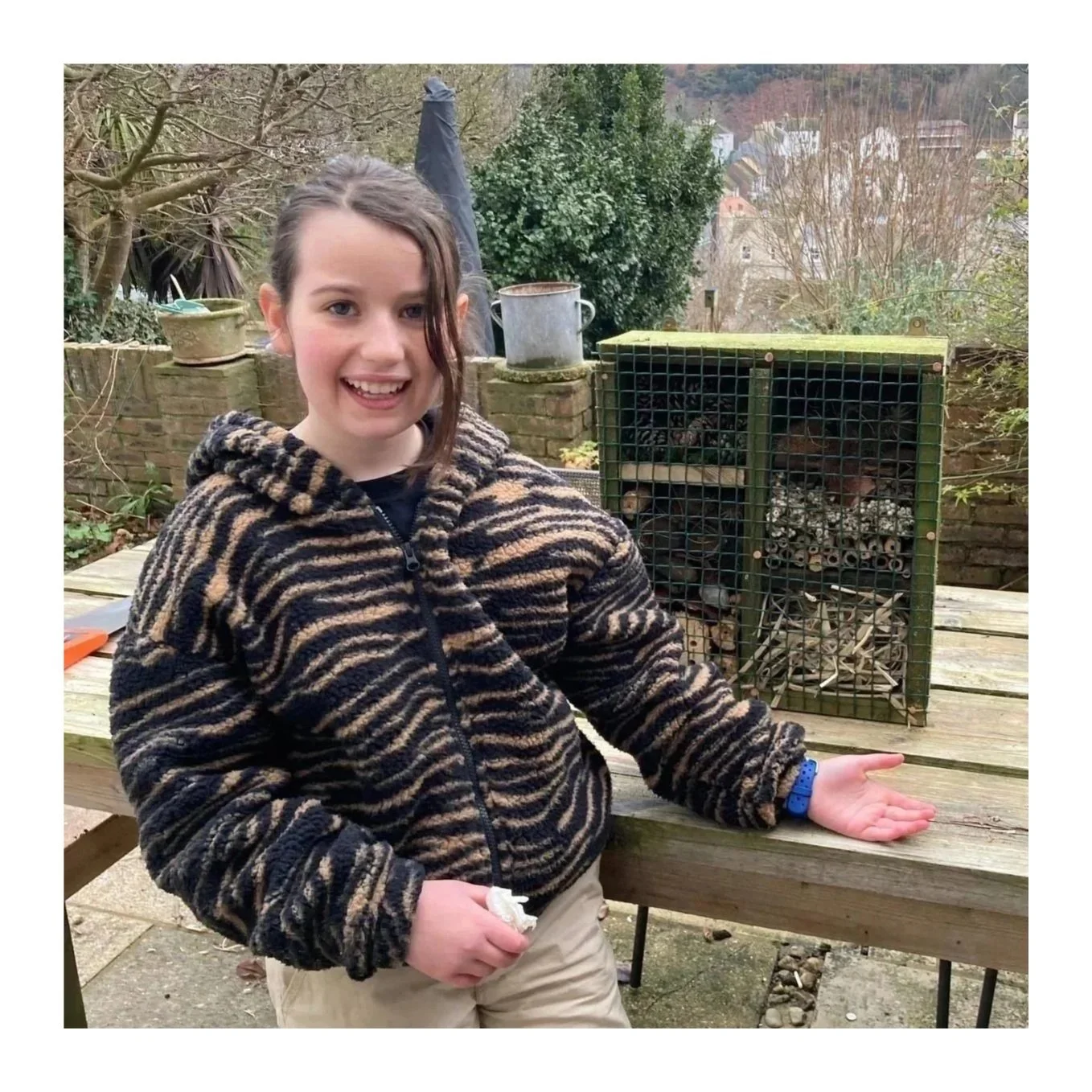 Build an Insect Hotel