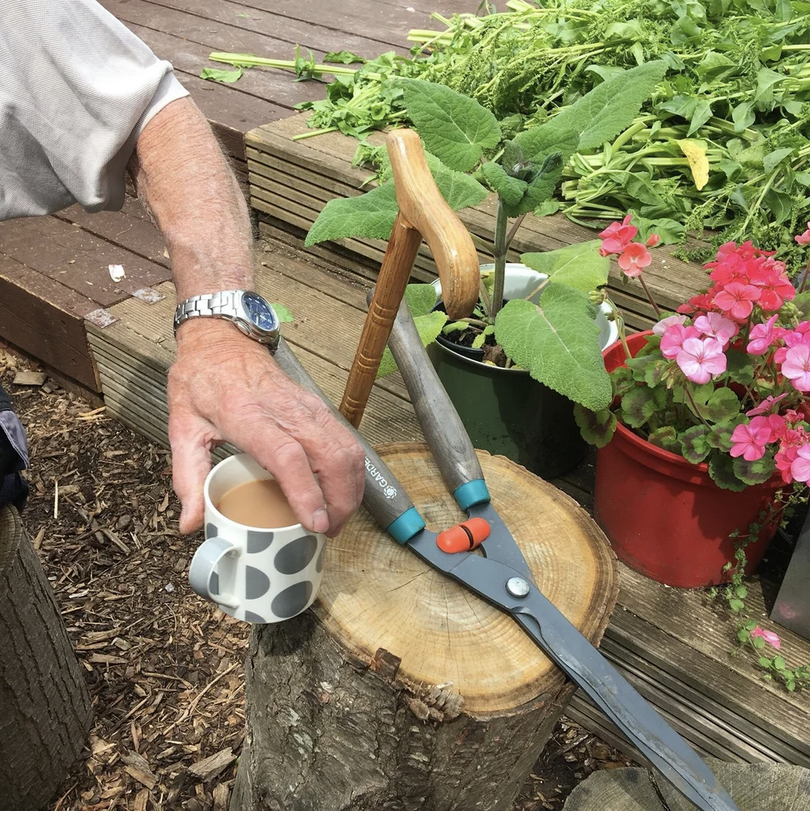 5 Ways to Wellbeing in Nature