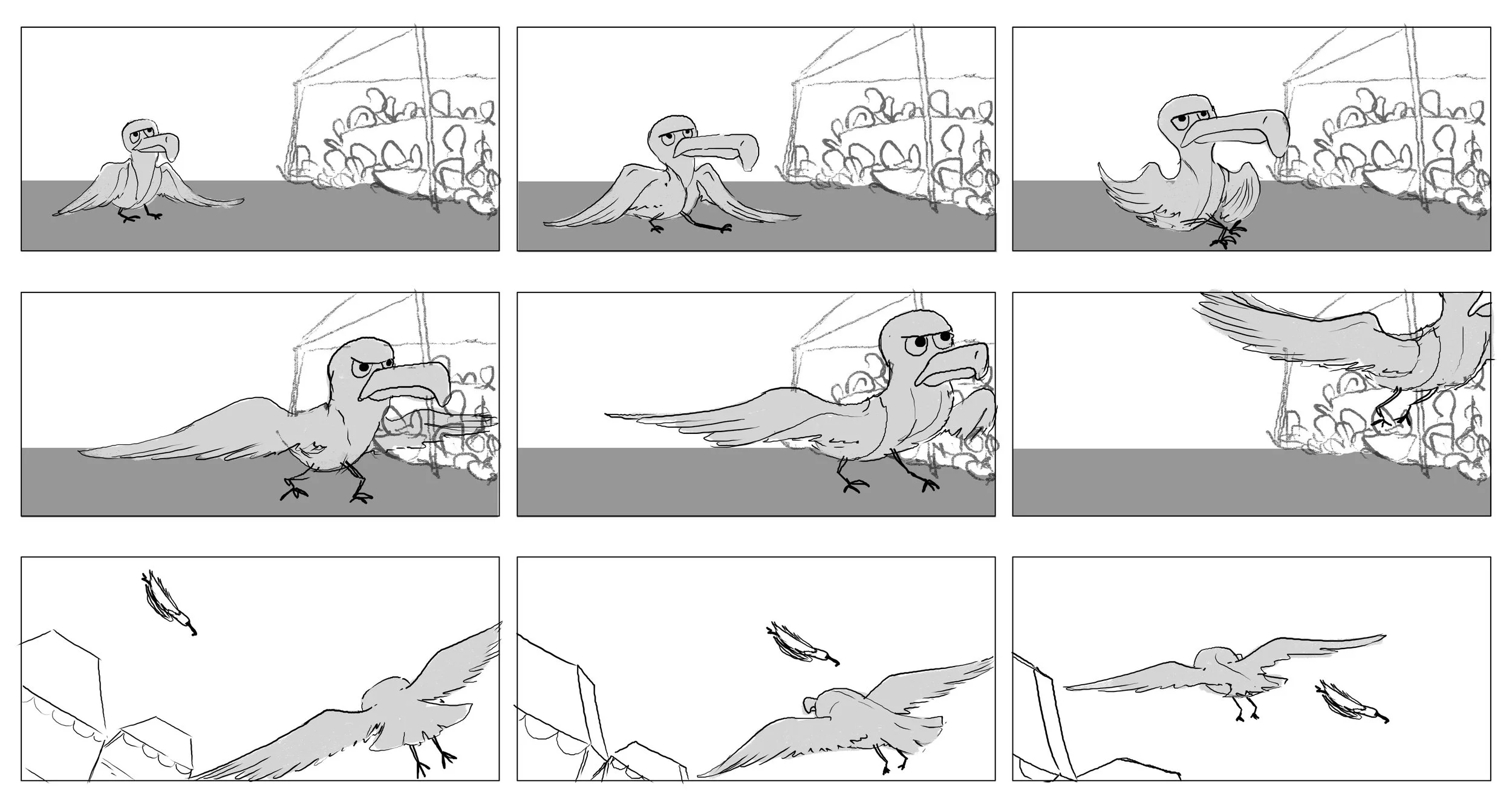 seaguls-11.jpg