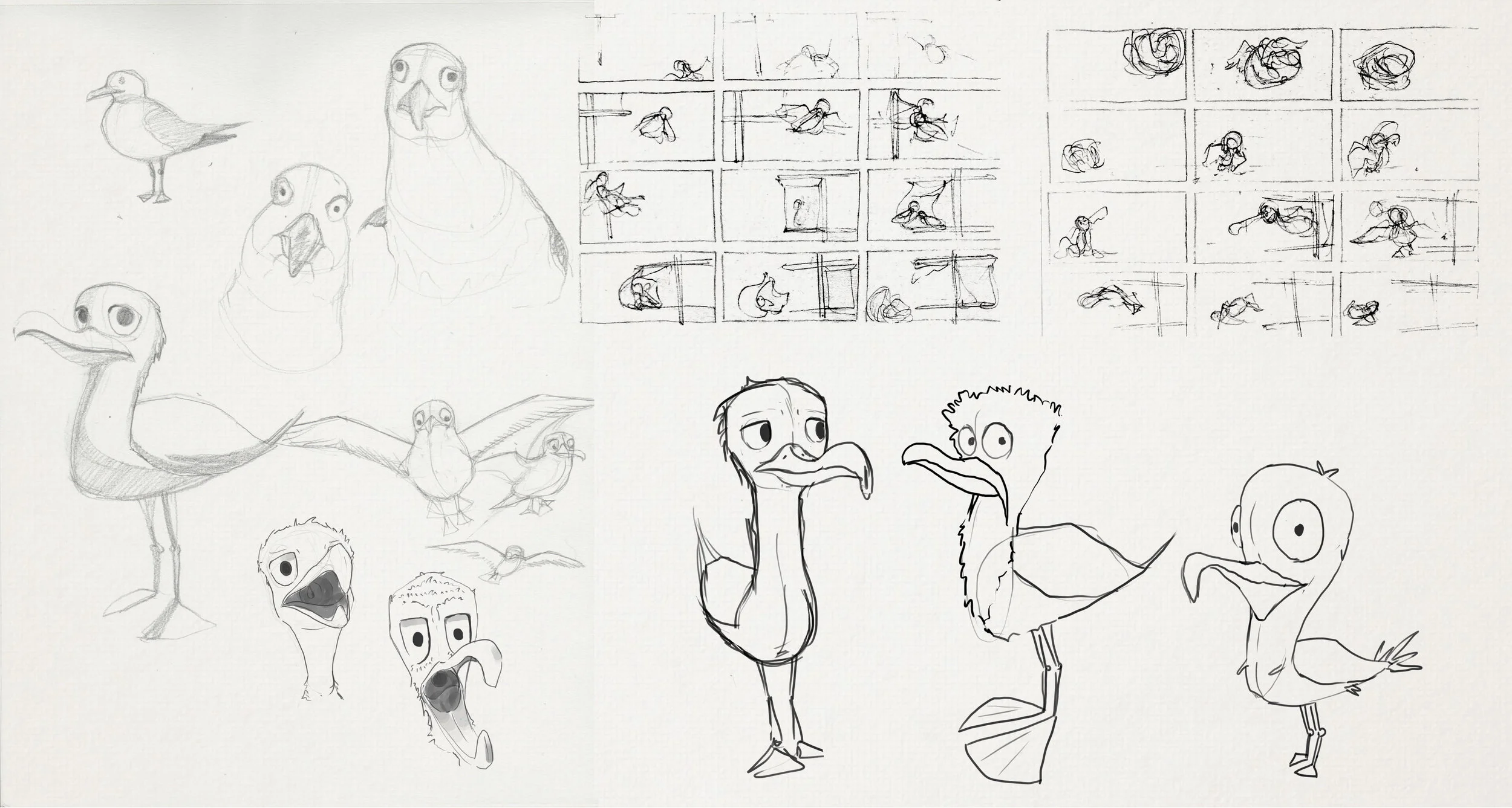 seaguls-sketches.jpg