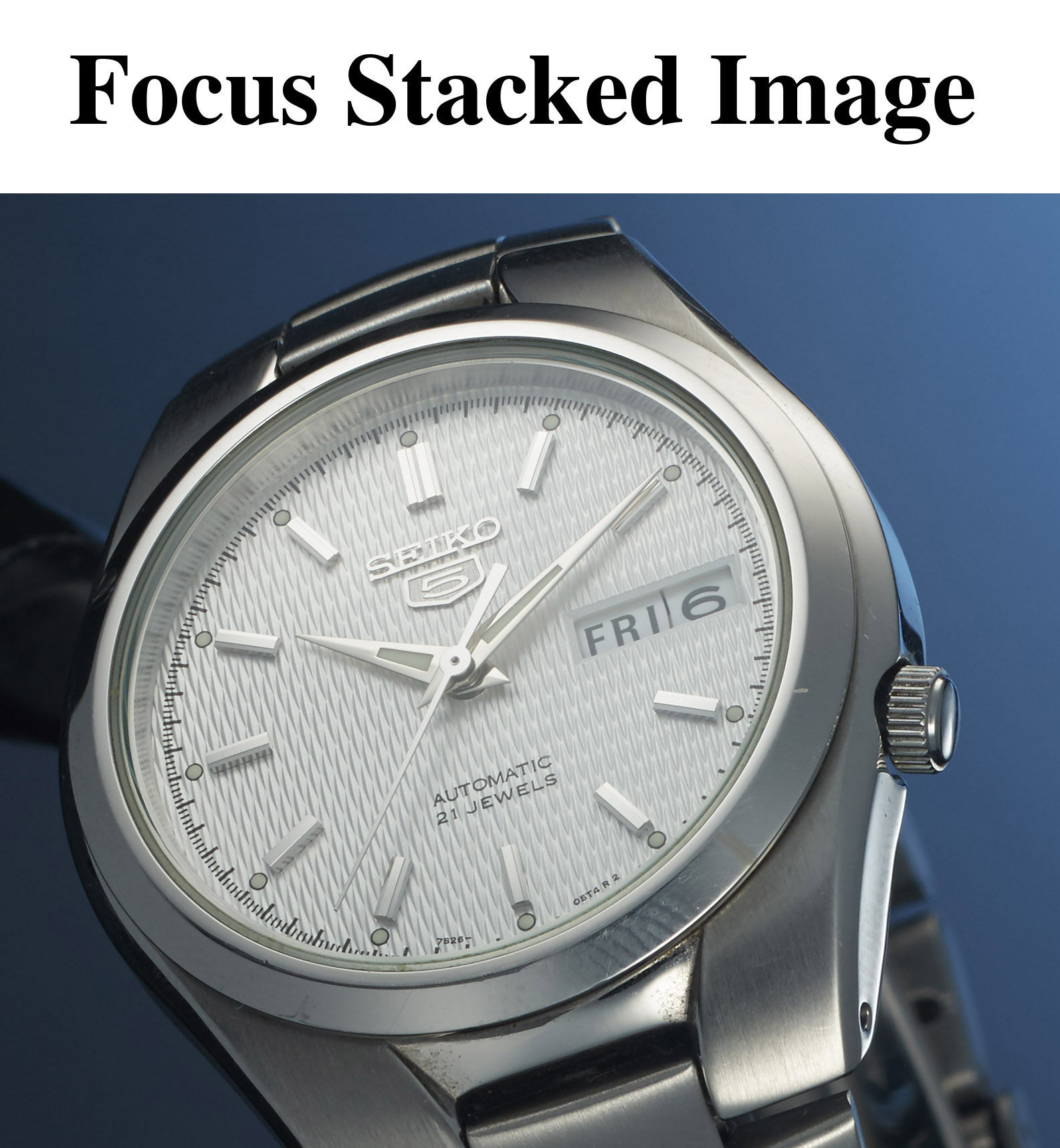 Focus Stack 001a.jpg