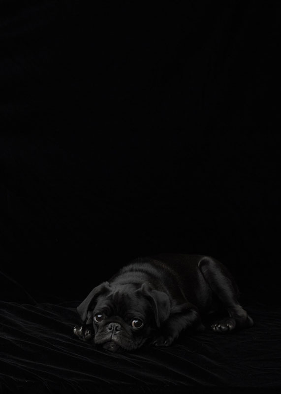 stitch_074.jpg