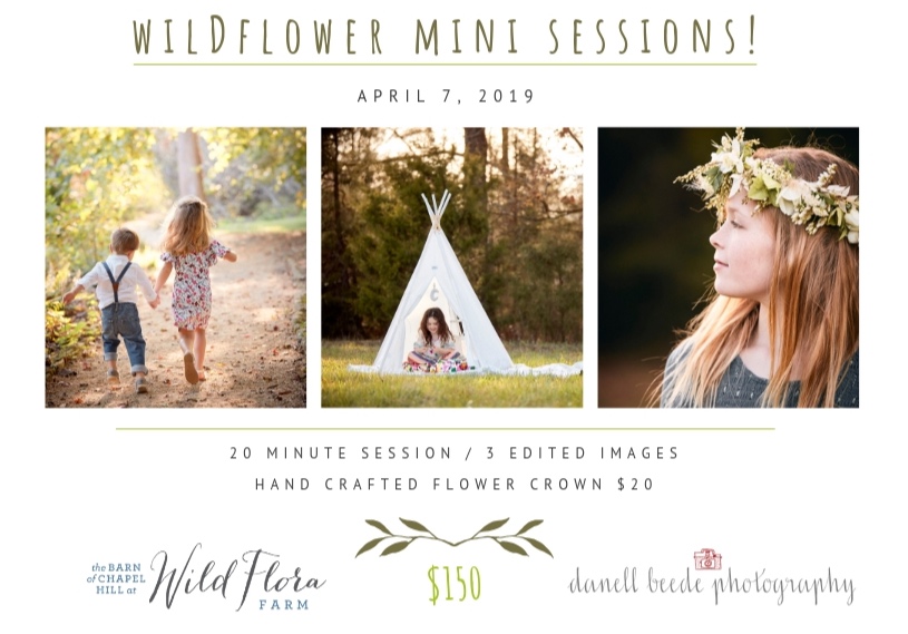 Copy+of+Wildflower+mini+sessions%21.jpg