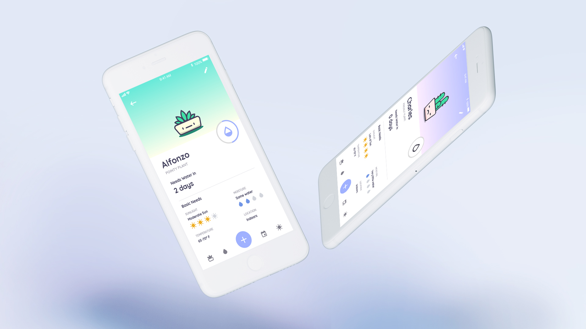 mockup-6.jpg