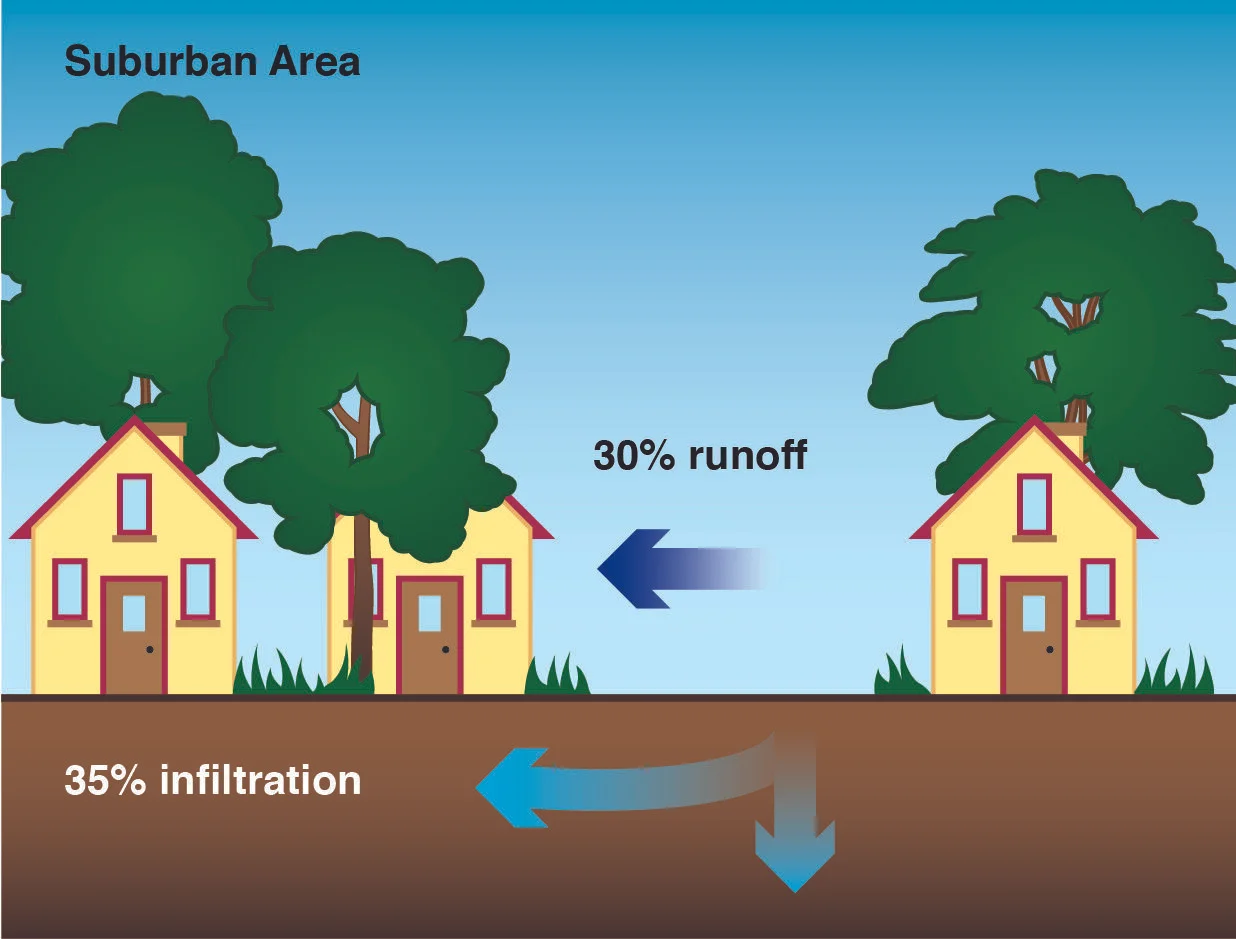 RoP Water Cycle 2-02.jpg