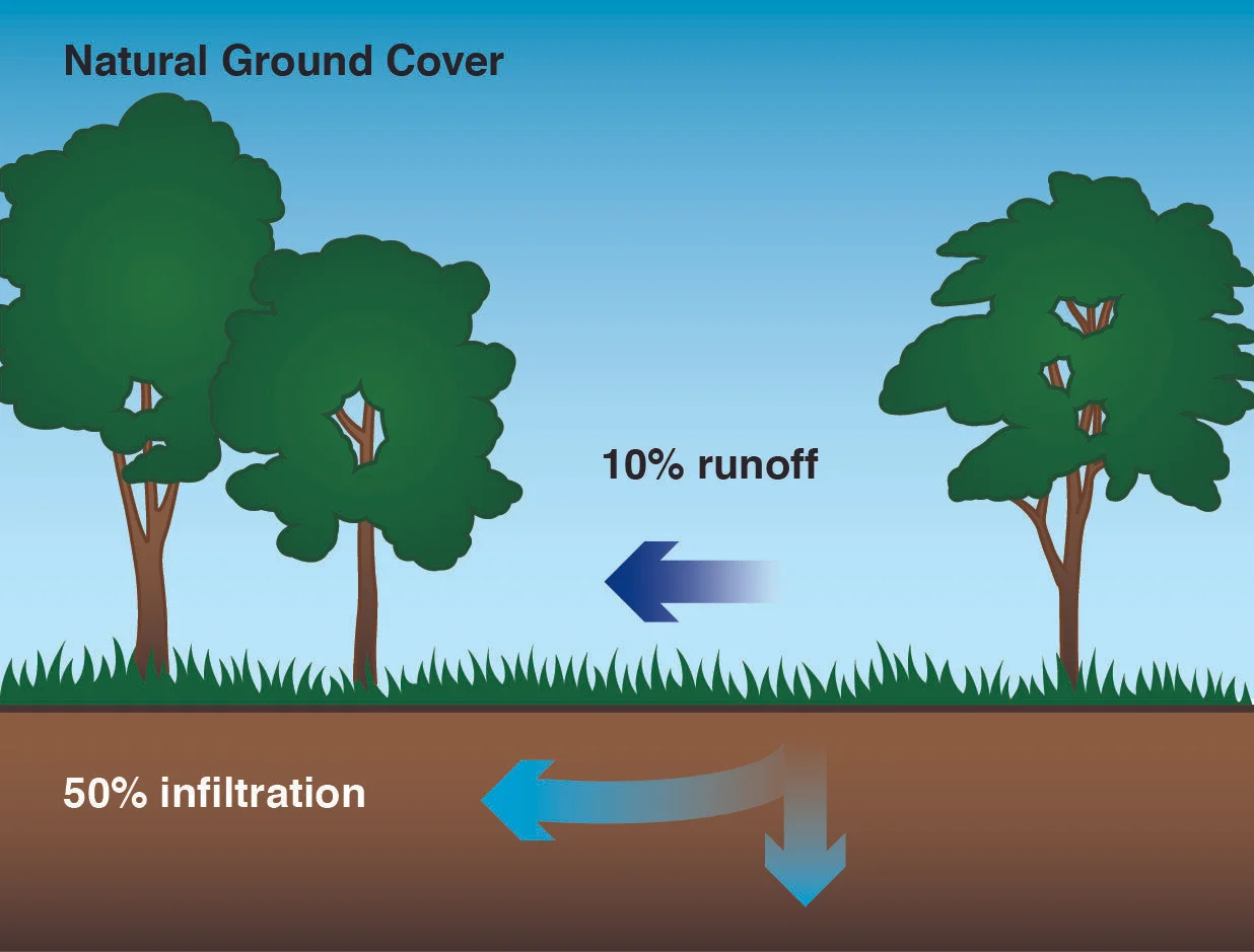 RoP Water Cycle 2-01.jpg
