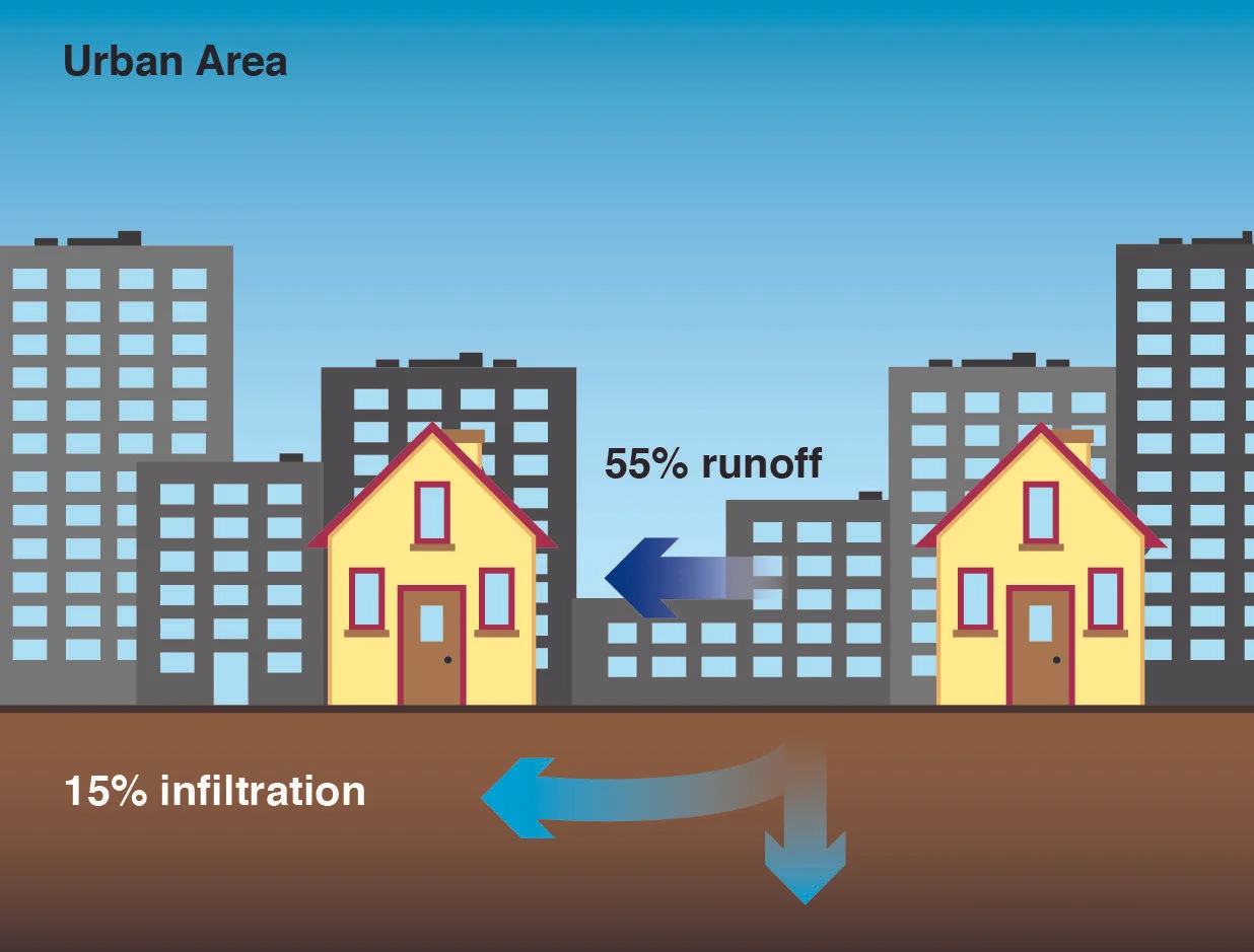 RoP Water Cycle 2-03.jpg