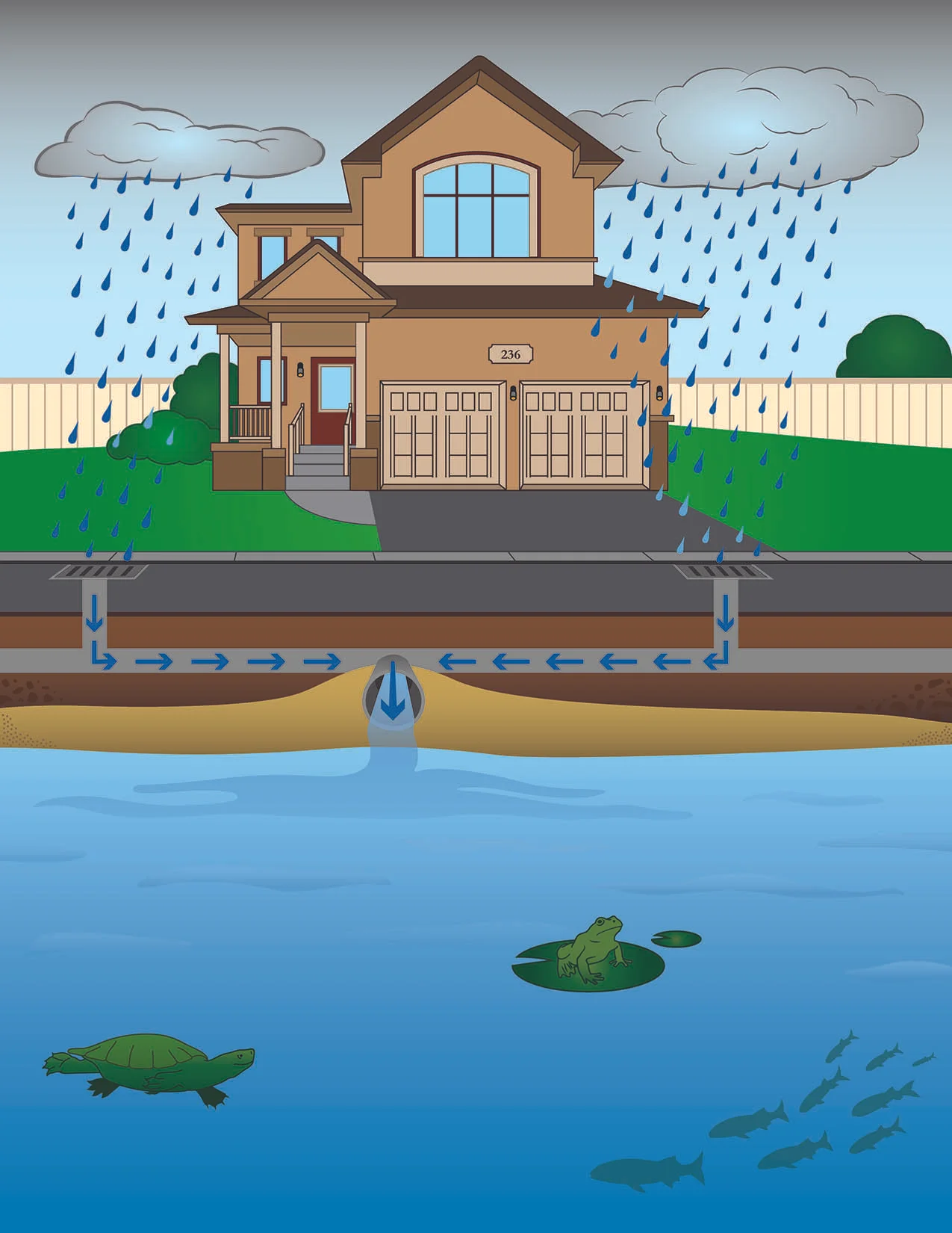 RoP Water Cycle 3.jpg