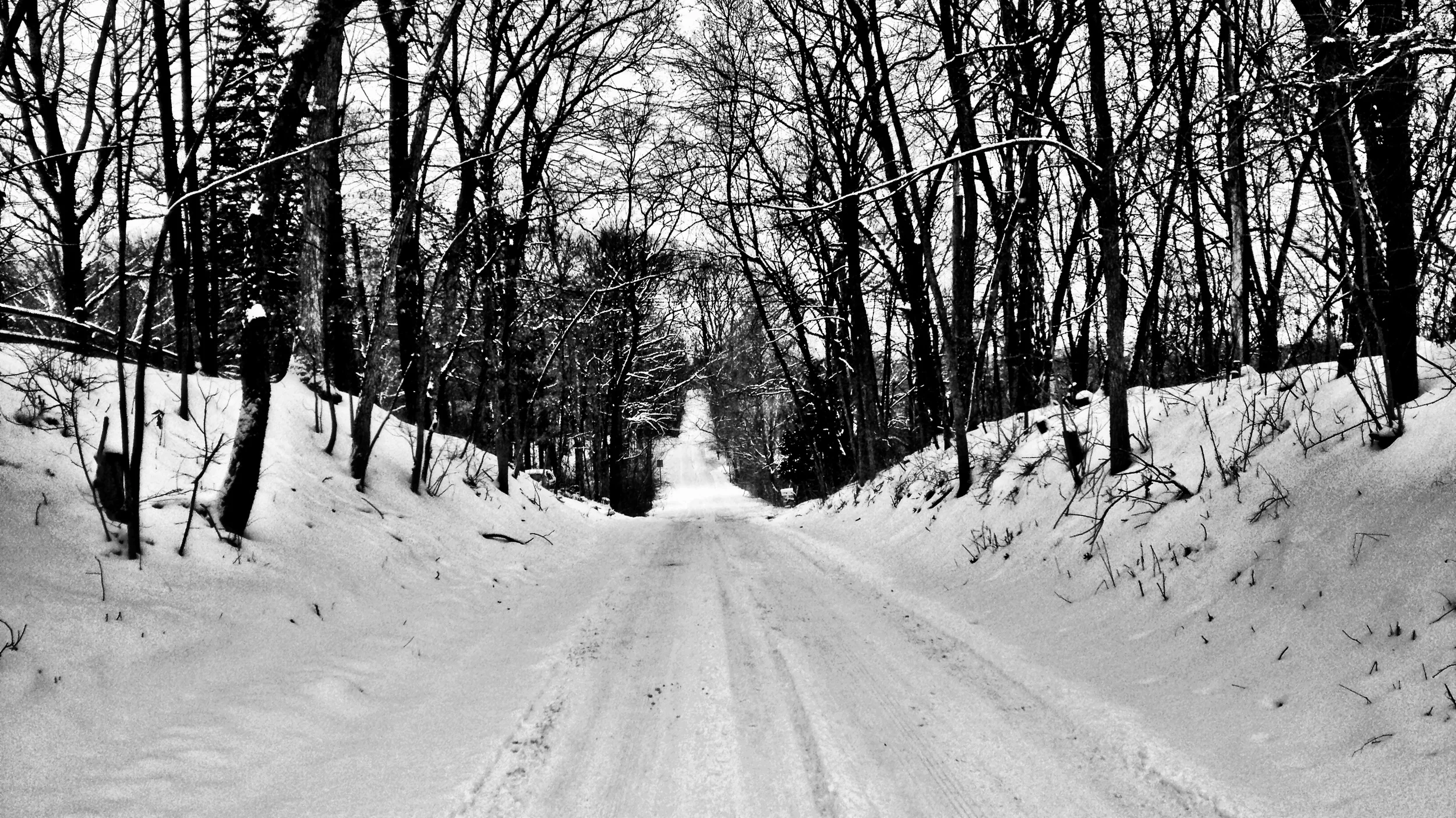 Winter Run in Michigan