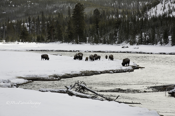 Yellowstone-3.jpg