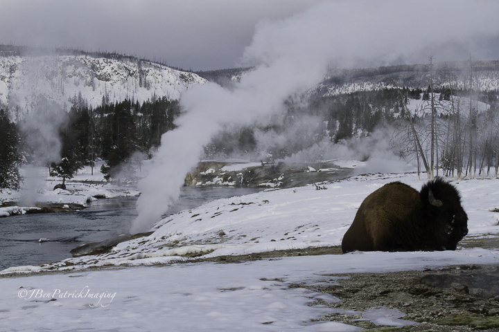 Yellowstone-48.jpg