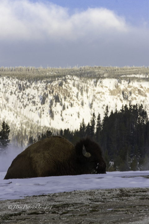 Yellowstone-52.jpg