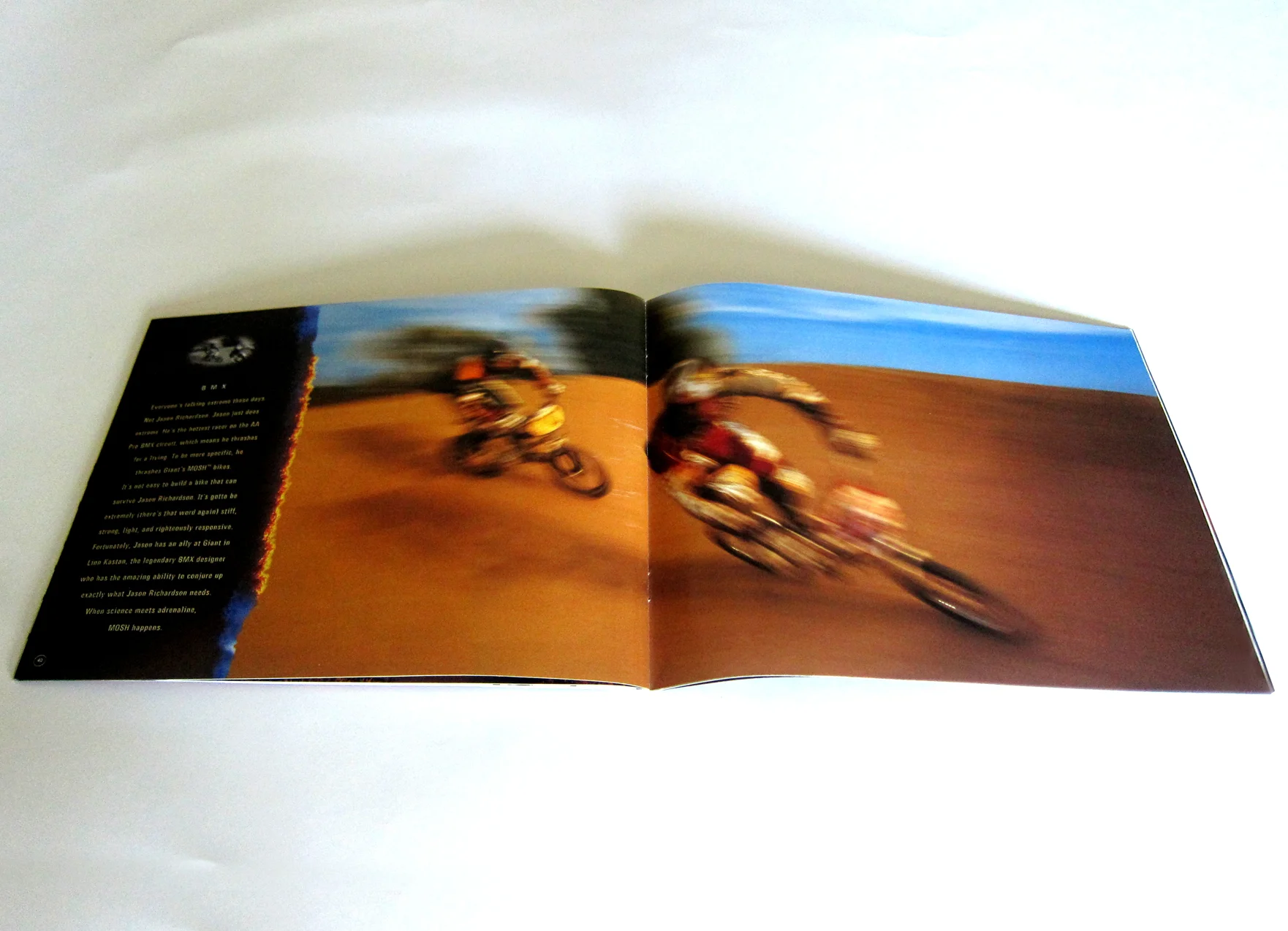 GiantBMXBikes.jpg
