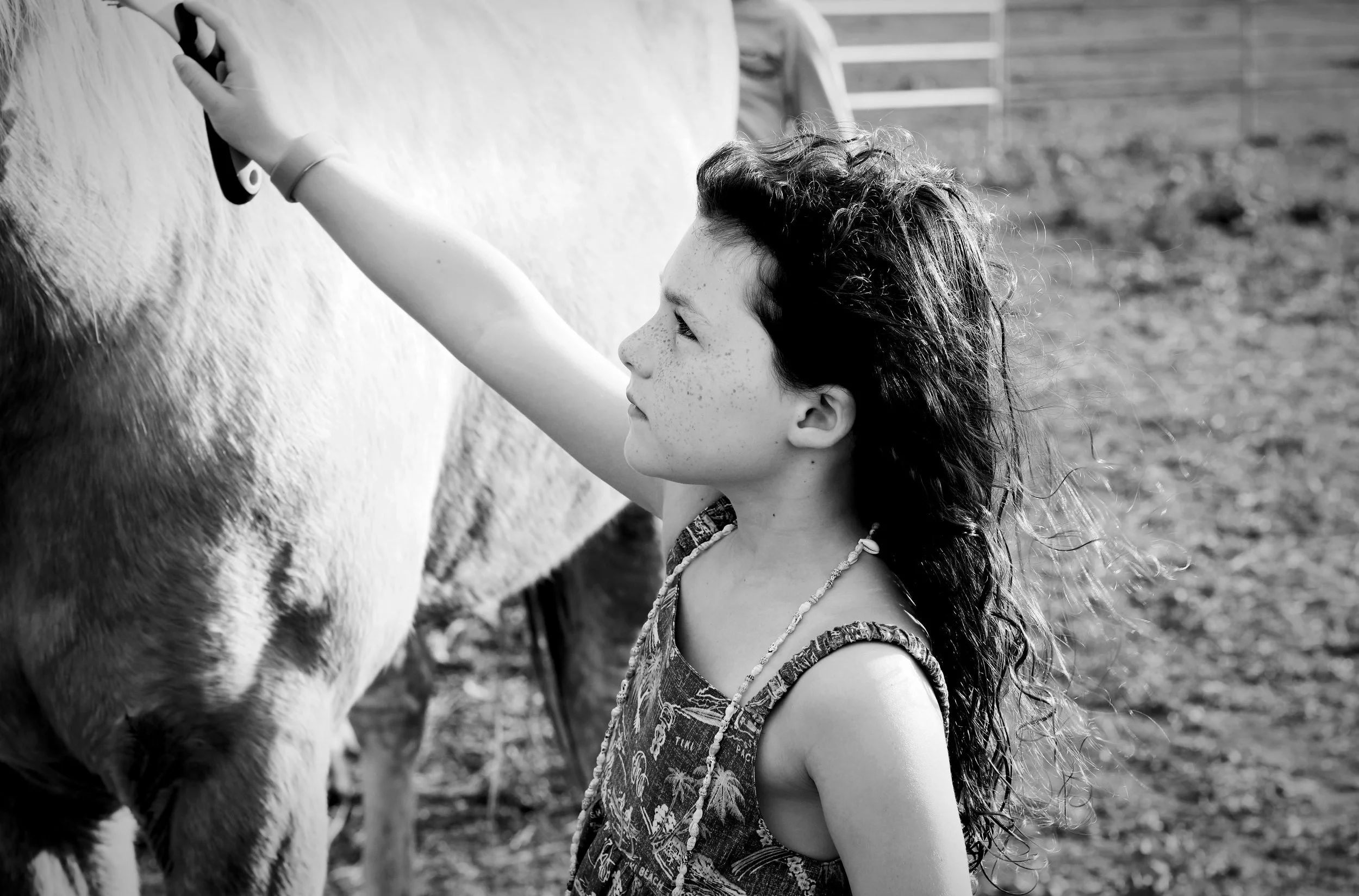 Avery_Horse_Hawaii (1).jpg