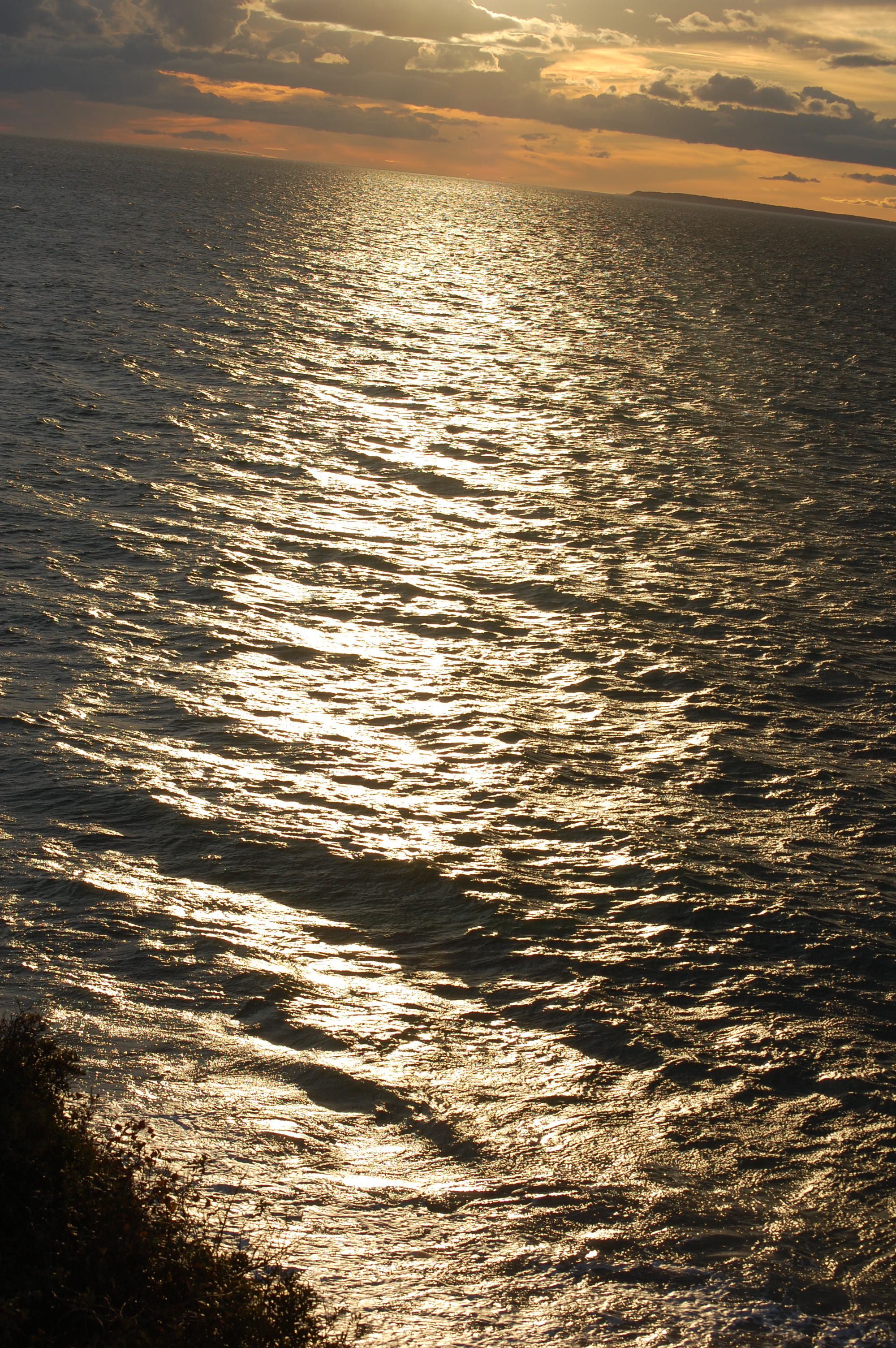 DSC_0227.jpg