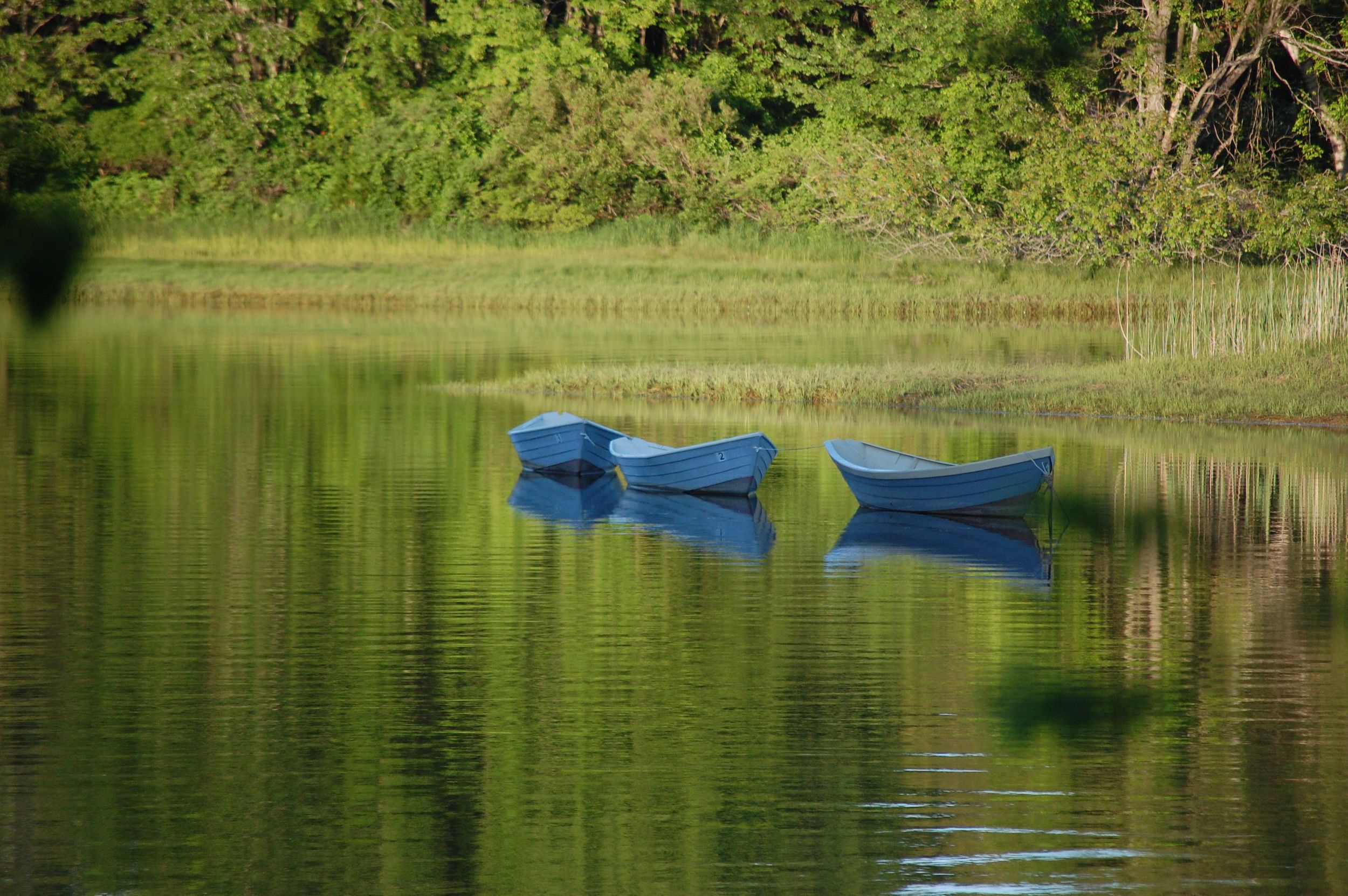 DSC_1623.jpg