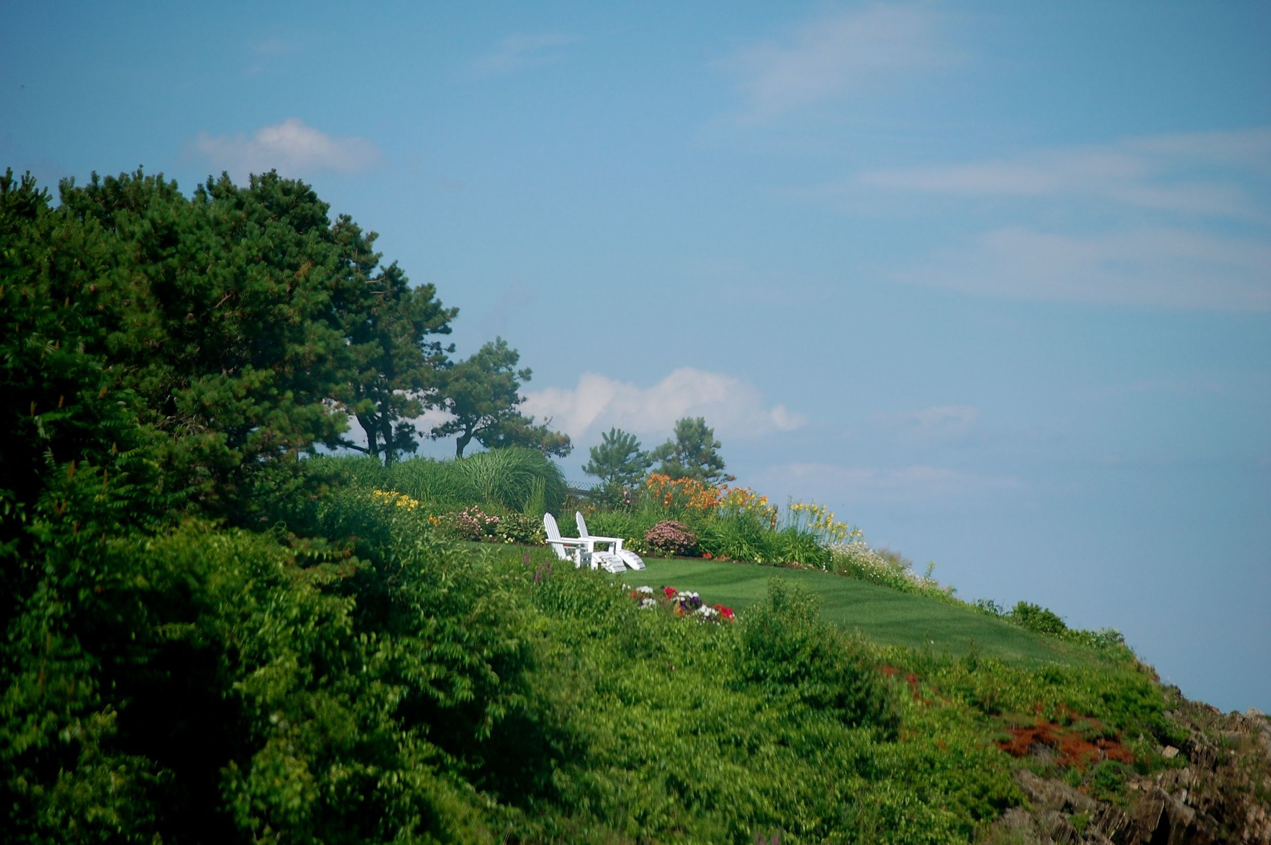 DSC_0125.jpg
