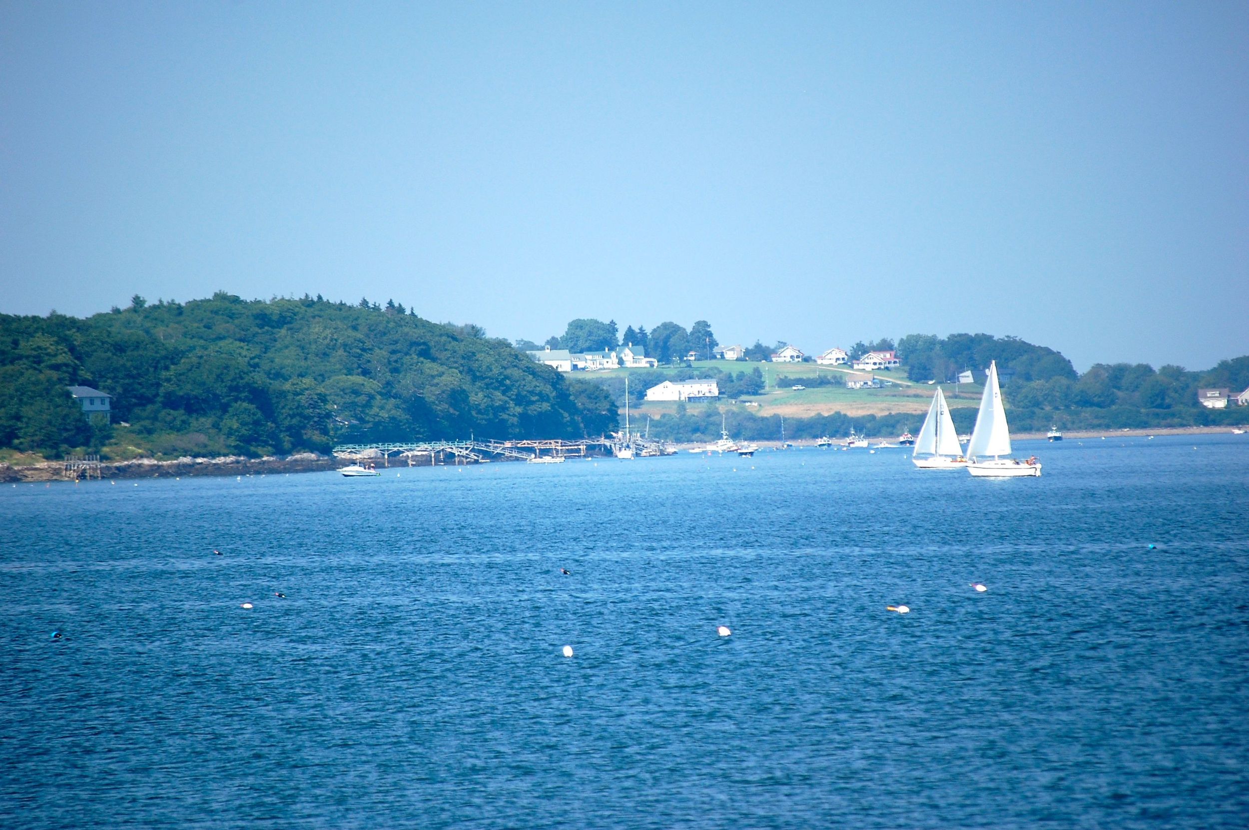 DSC_1649.jpg