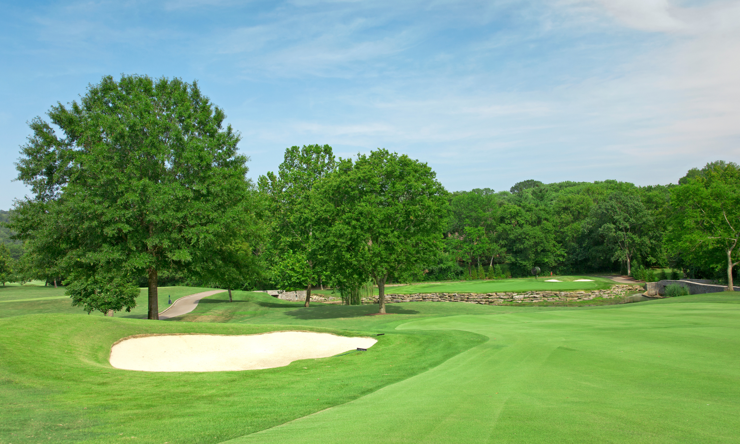 Website Banner - 2500 x 1500 (4).png