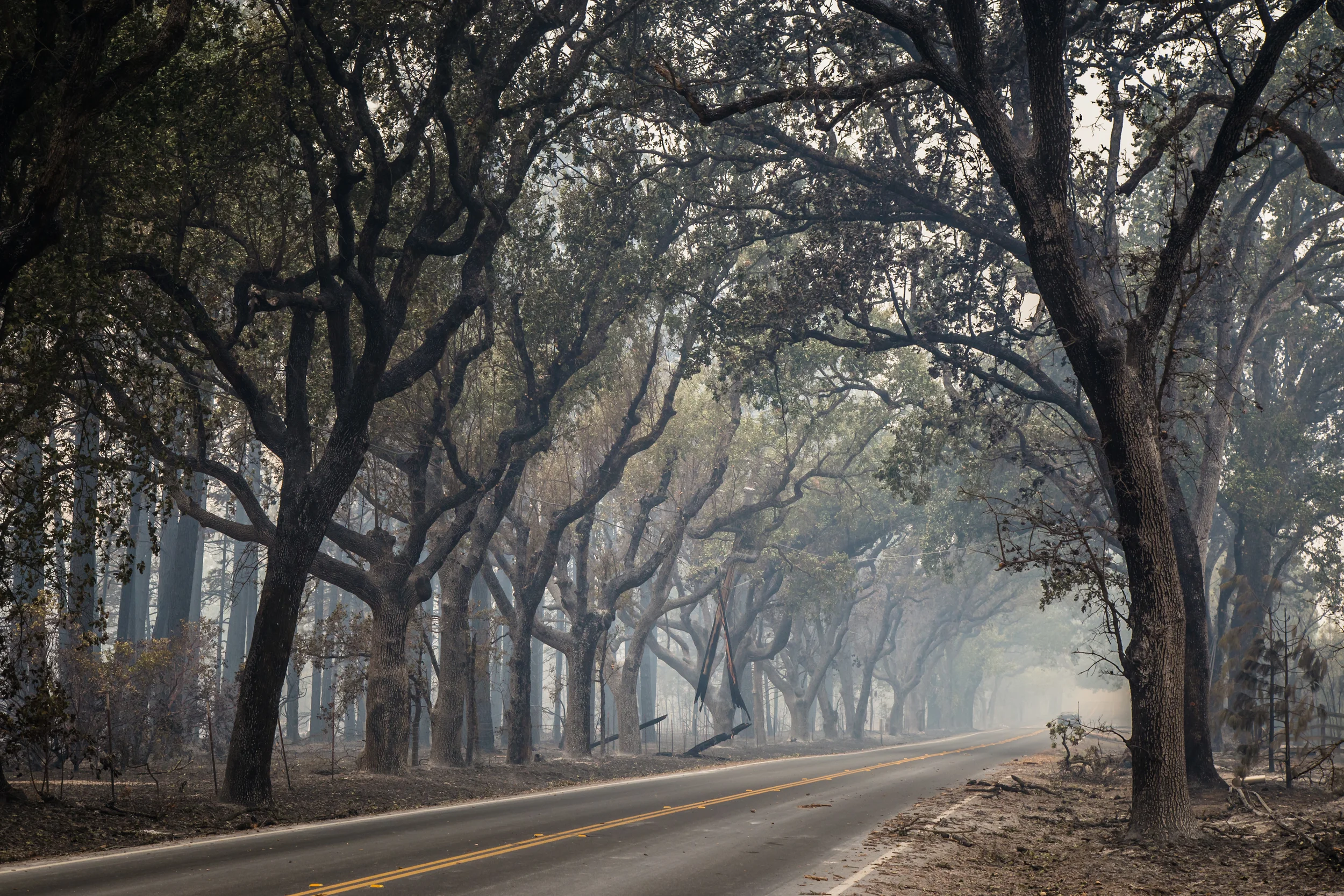 Highway 175, Middletown