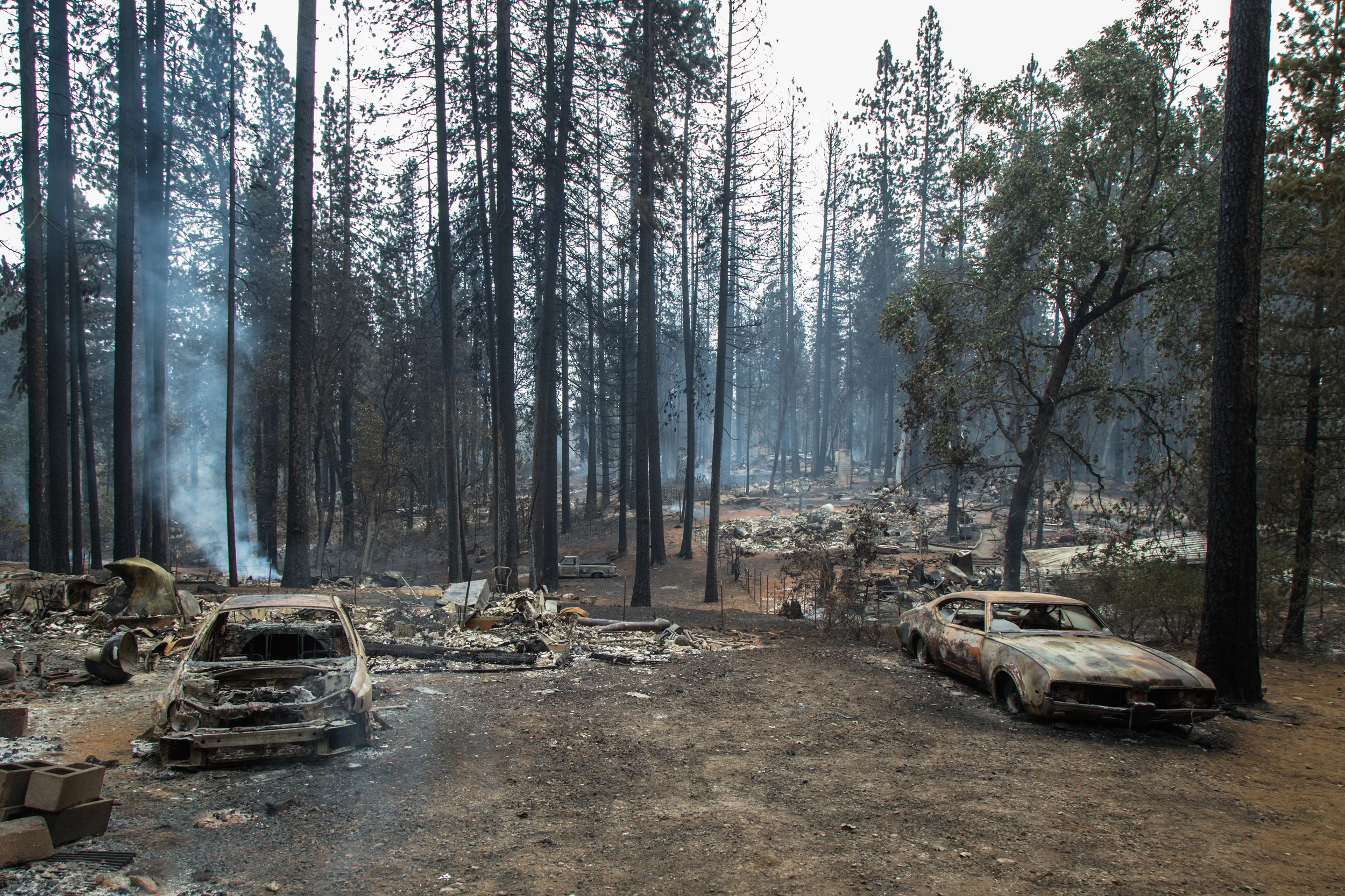 Gifford Springs, Cobb