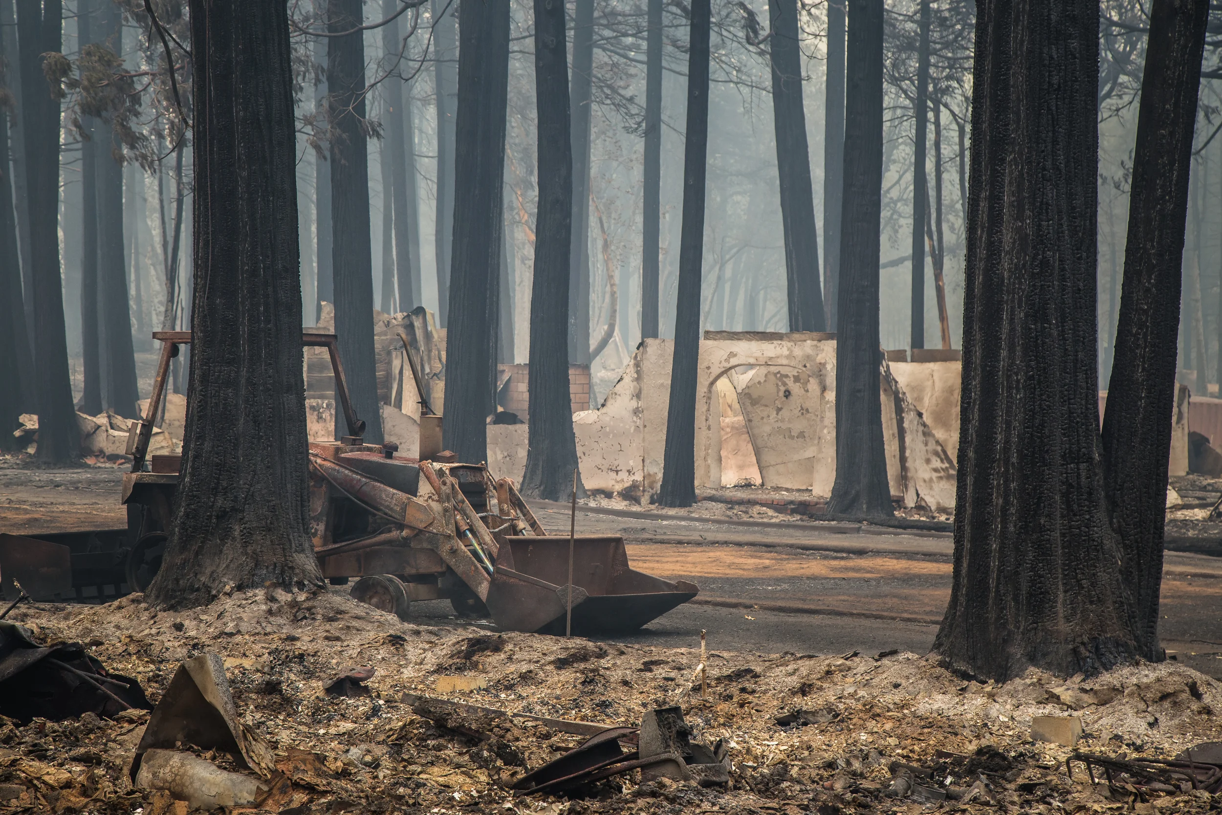 Hoberg's Resort, Cobb