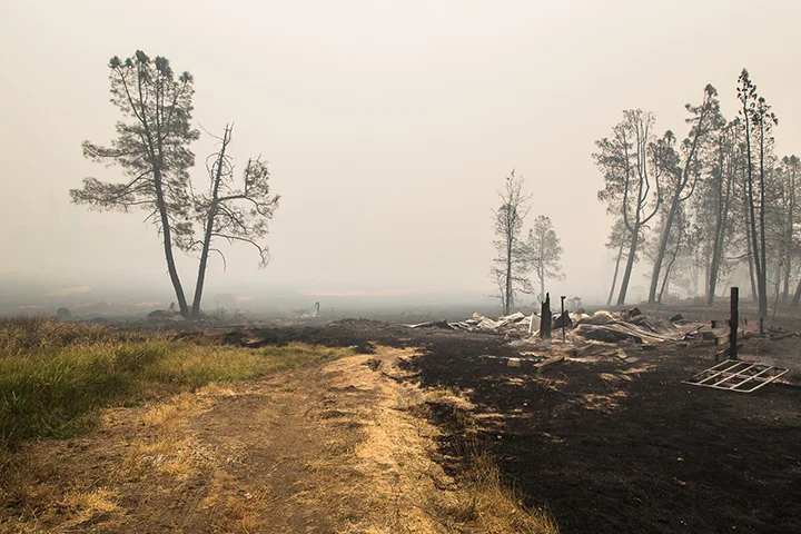 ©nathandehartphotogrpahy_valleyfire0913-6054.jpg