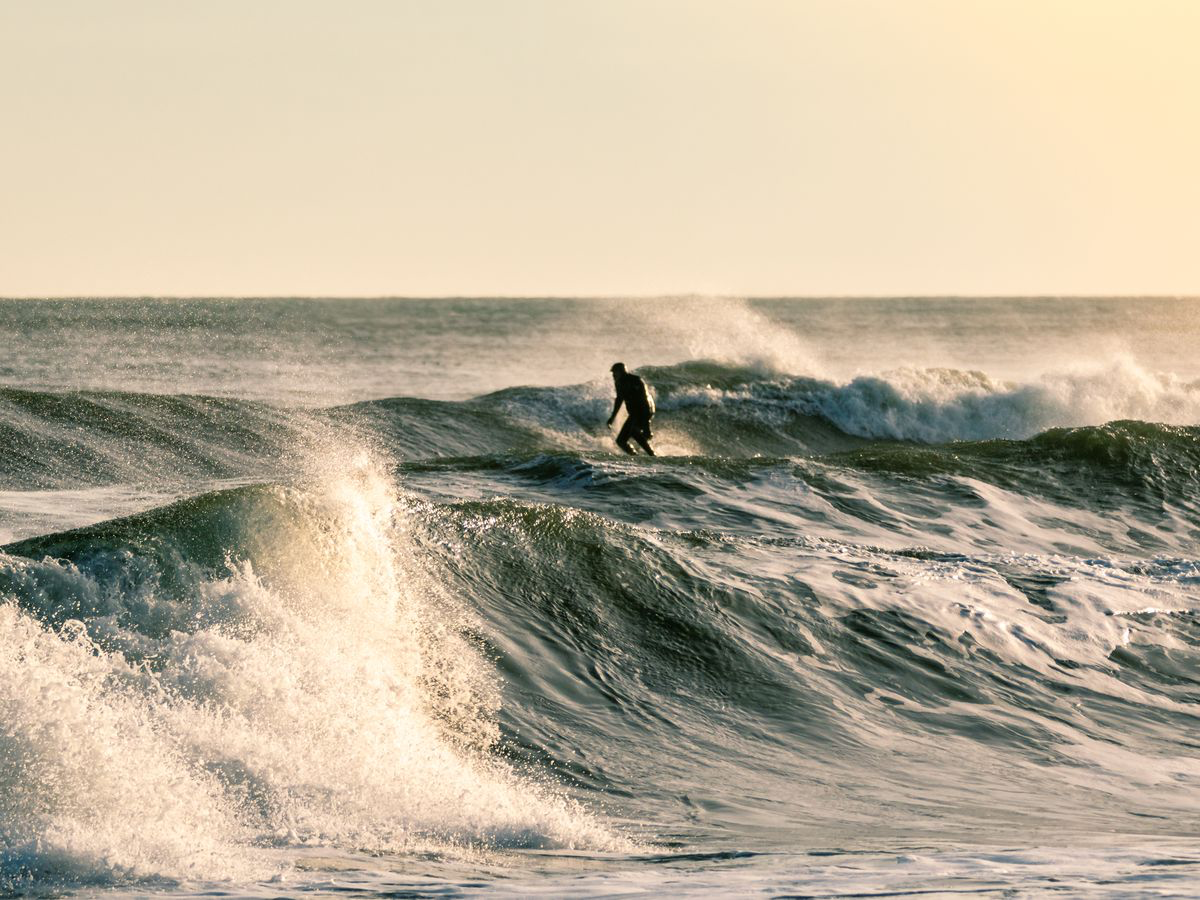 Image by Scott Heaney/Shutterstock