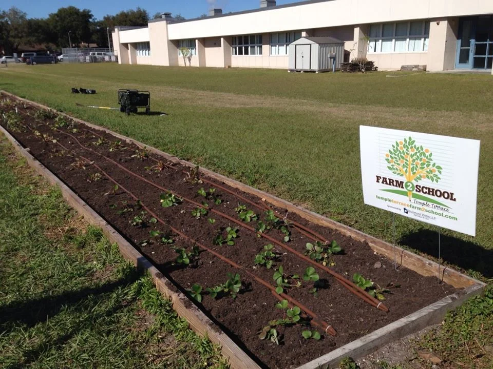 012715 - student garden at Greco.jpg
