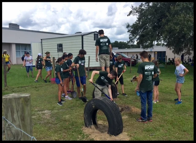 USF Freshman install tires to give the Farm Animals a little fun.