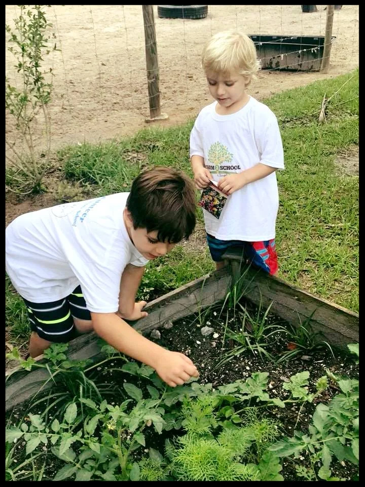 Liam and julian plant flower seeds.