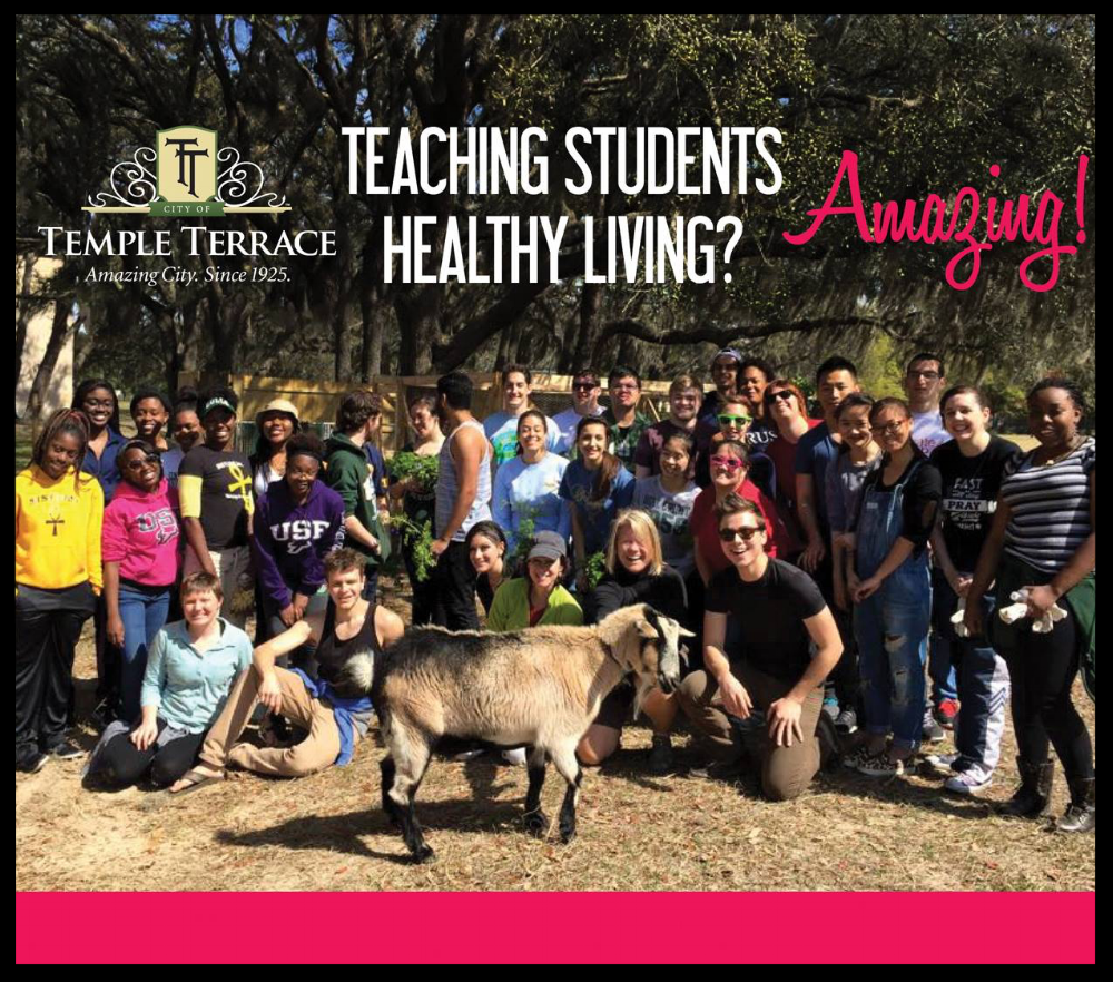 USF Students volunteer at Greco Farms, building gardens, feeding the animals and general farm maintenance.