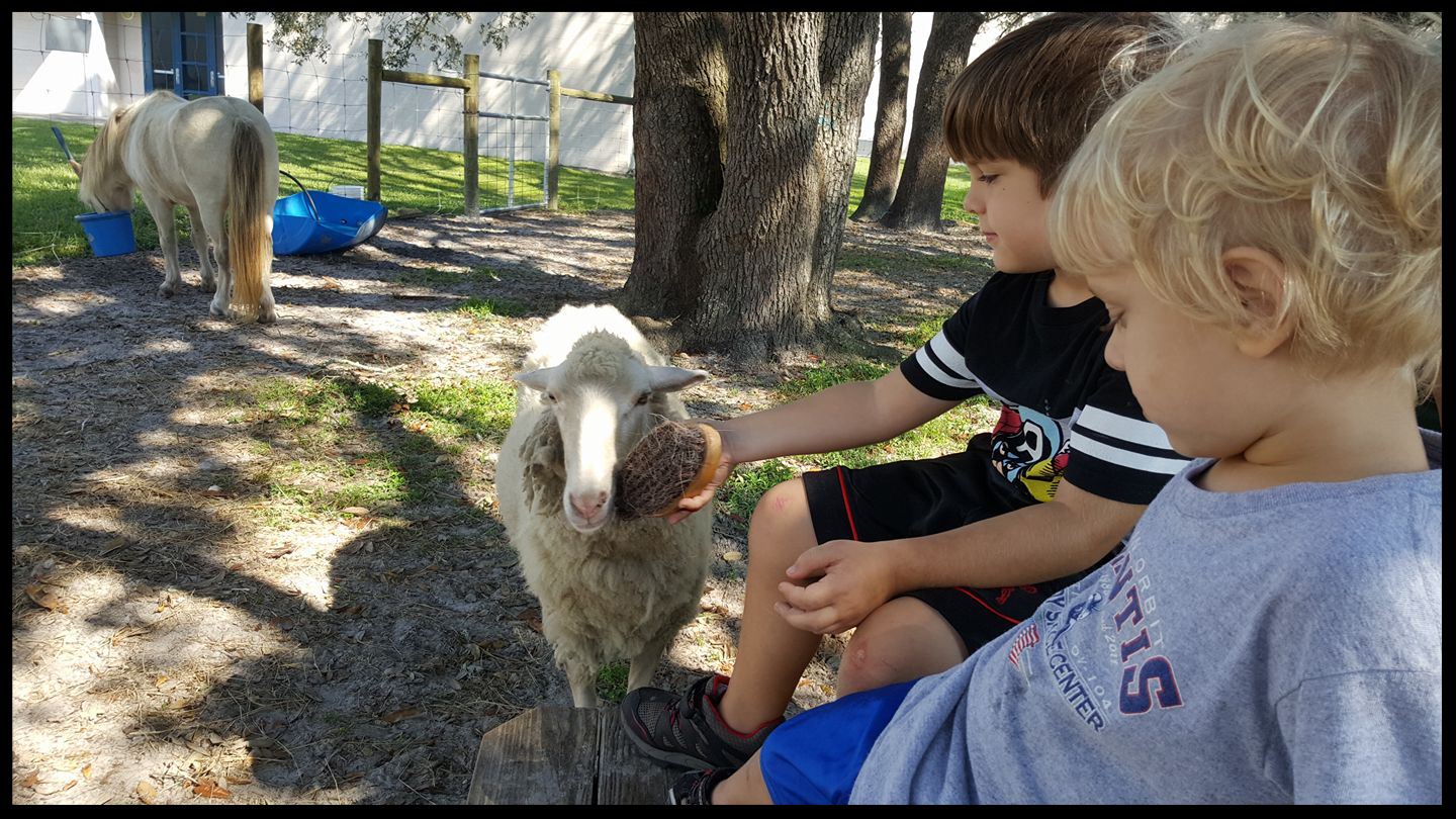 Liam and Julian Gessman feed dolly on the weekends.