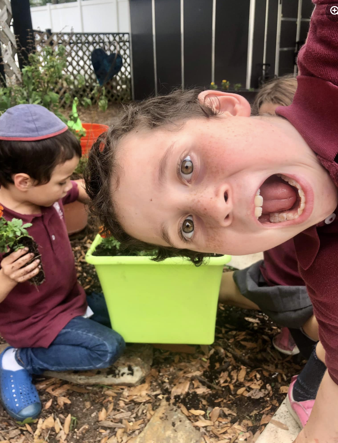 Screen Shot 2022-04-02 at 8.03.14 AM.png