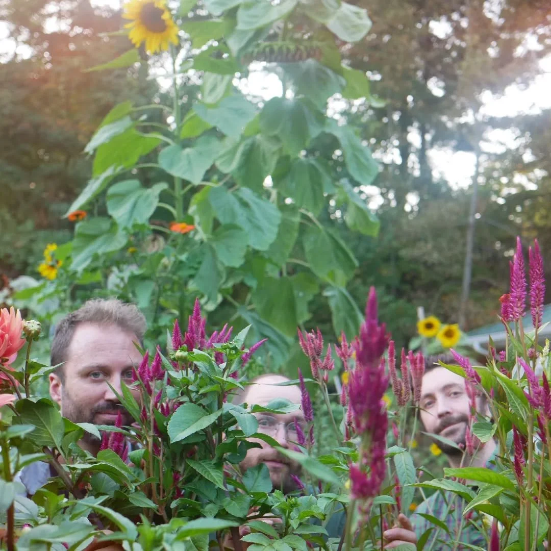 Down amongst the flowers, gathering vibes for this Saturday's show at @horrocksmarket music garden in Kentwood.  From 6pm to 9pm, we'll play many songs and sounds!
Hugsss 
Photo credit the luminous @marisol_mazatl8 !